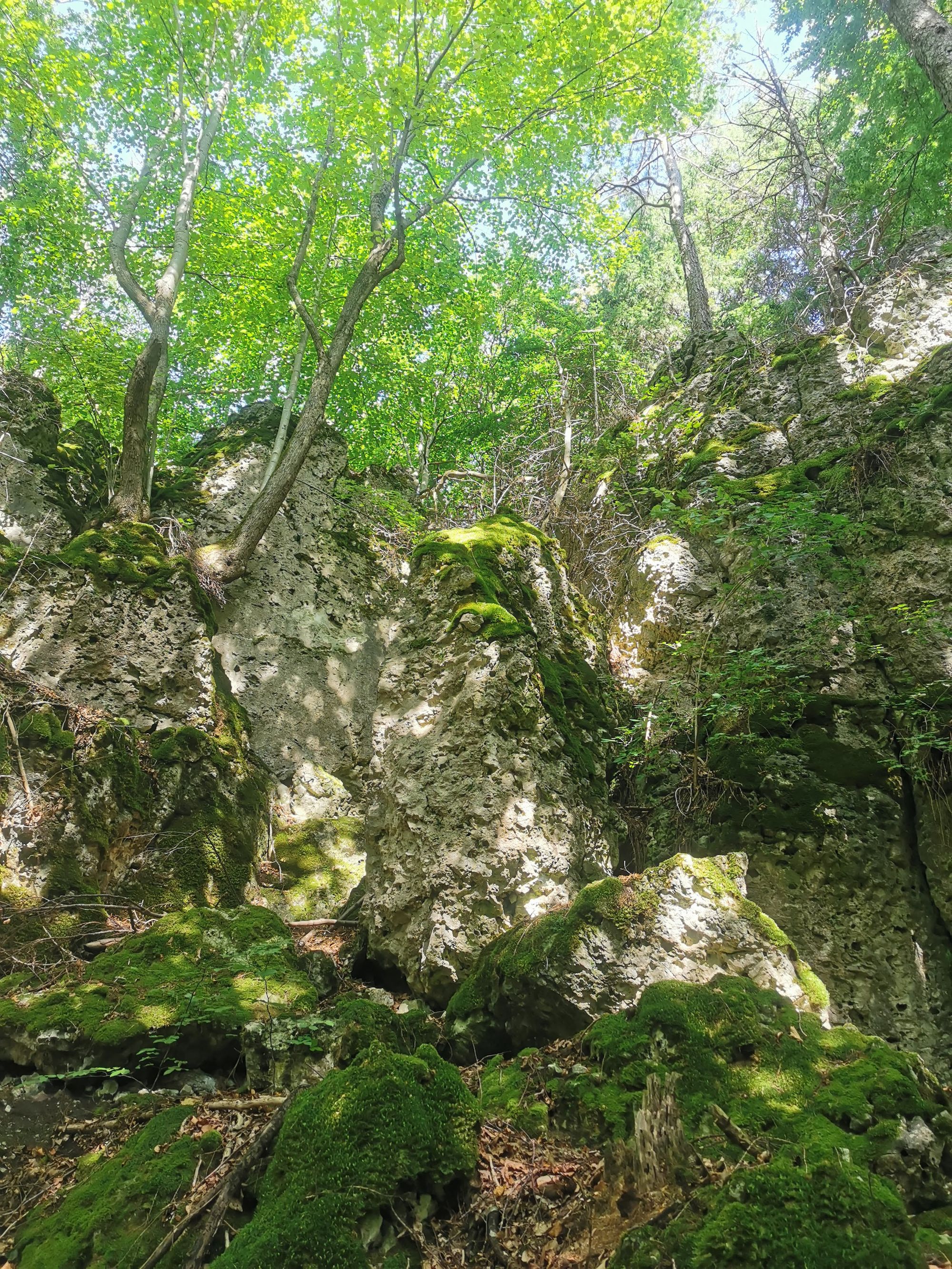 Obertrubach Rundwanderung der Felstunnel