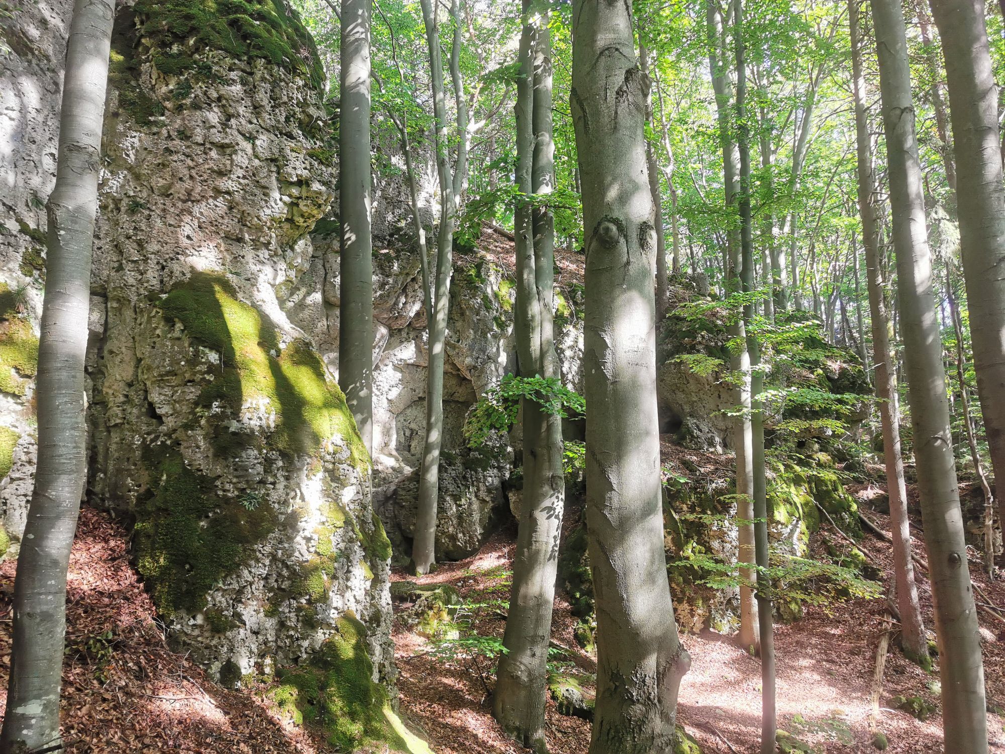 Obertrubach Rundwanderung der Felstunnel