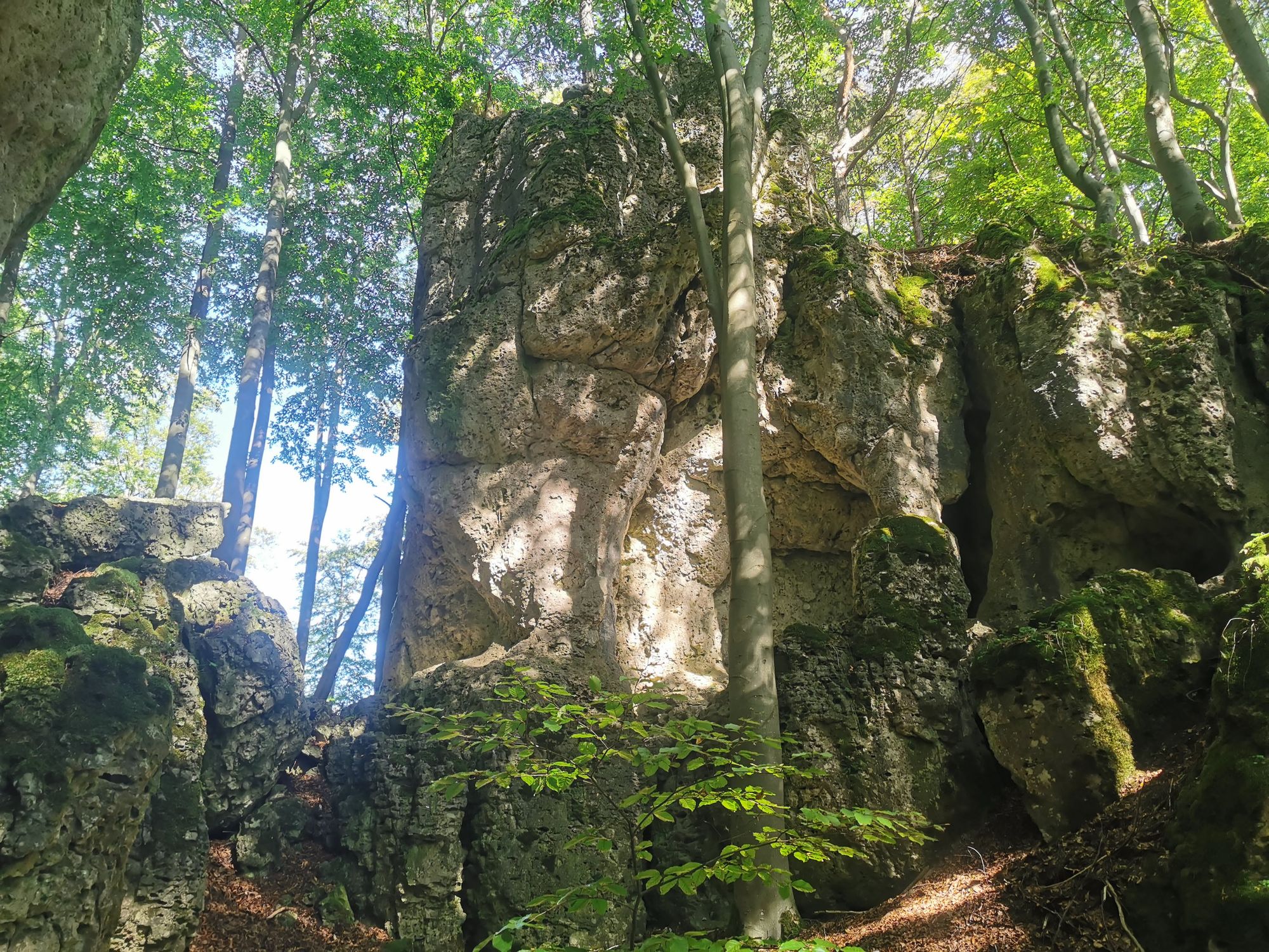 Obertrubach Rundwanderung der Felstunnel