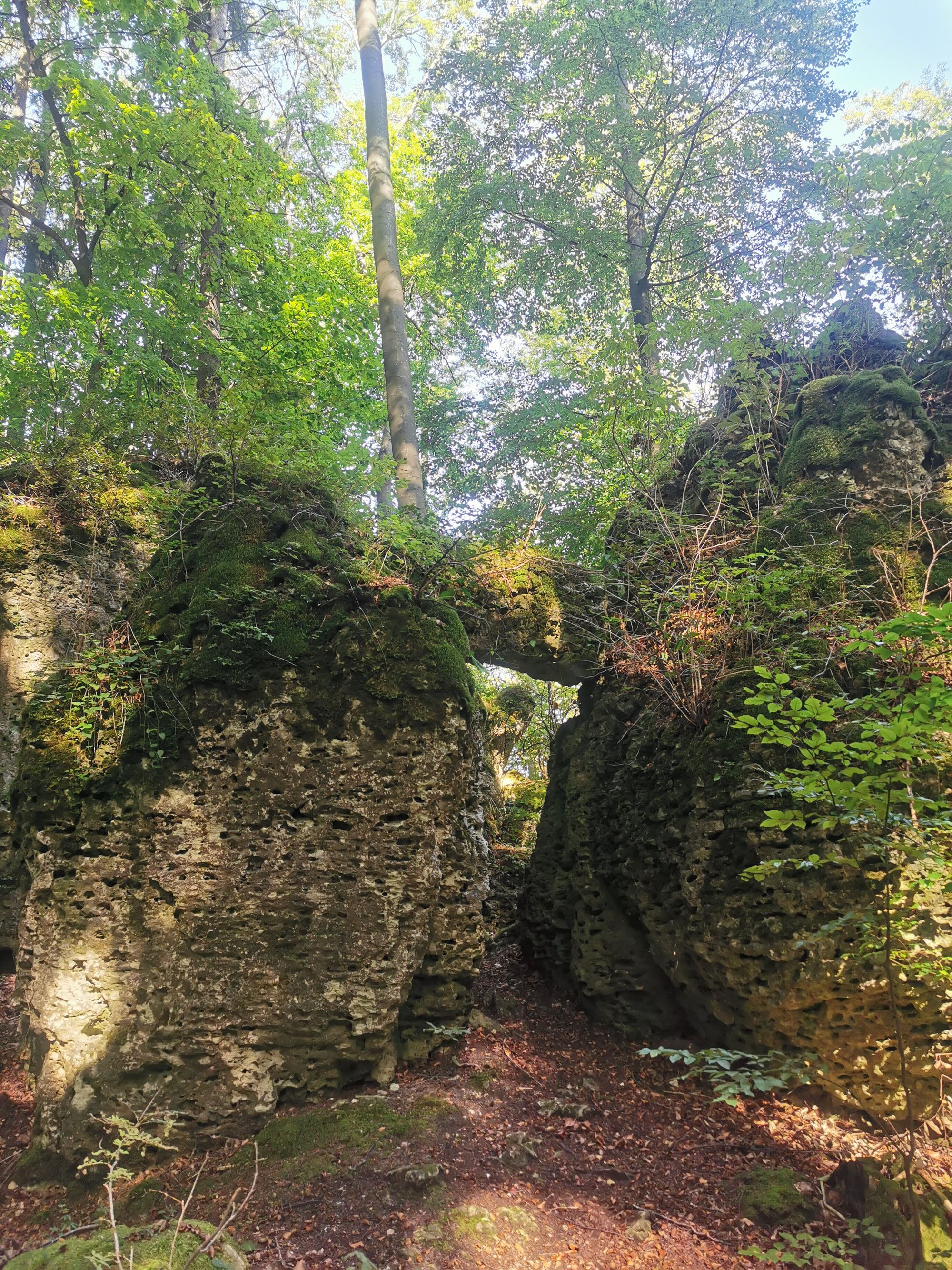 Obertrubach Rundwanderung der Felstunnel