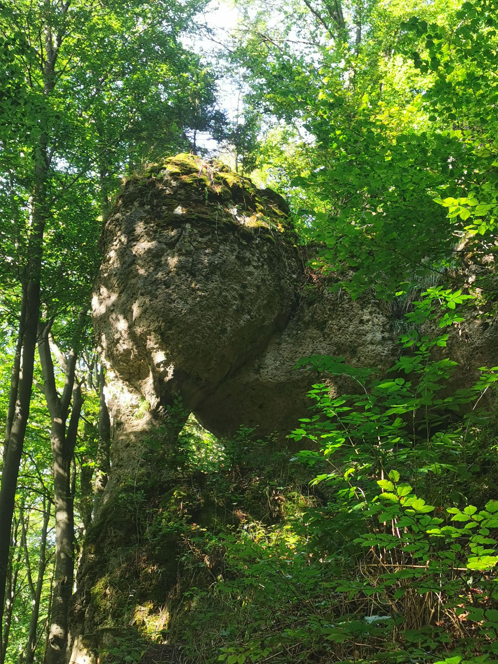 Obertrubach Rundwanderung der Felstunnel