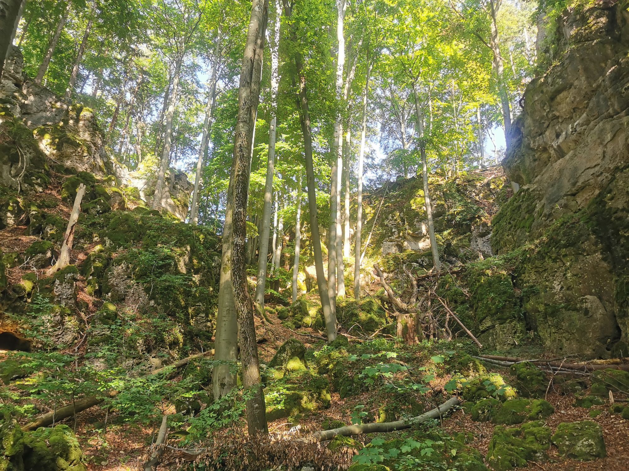 Obertrubach Rundwanderung der Felstunnel