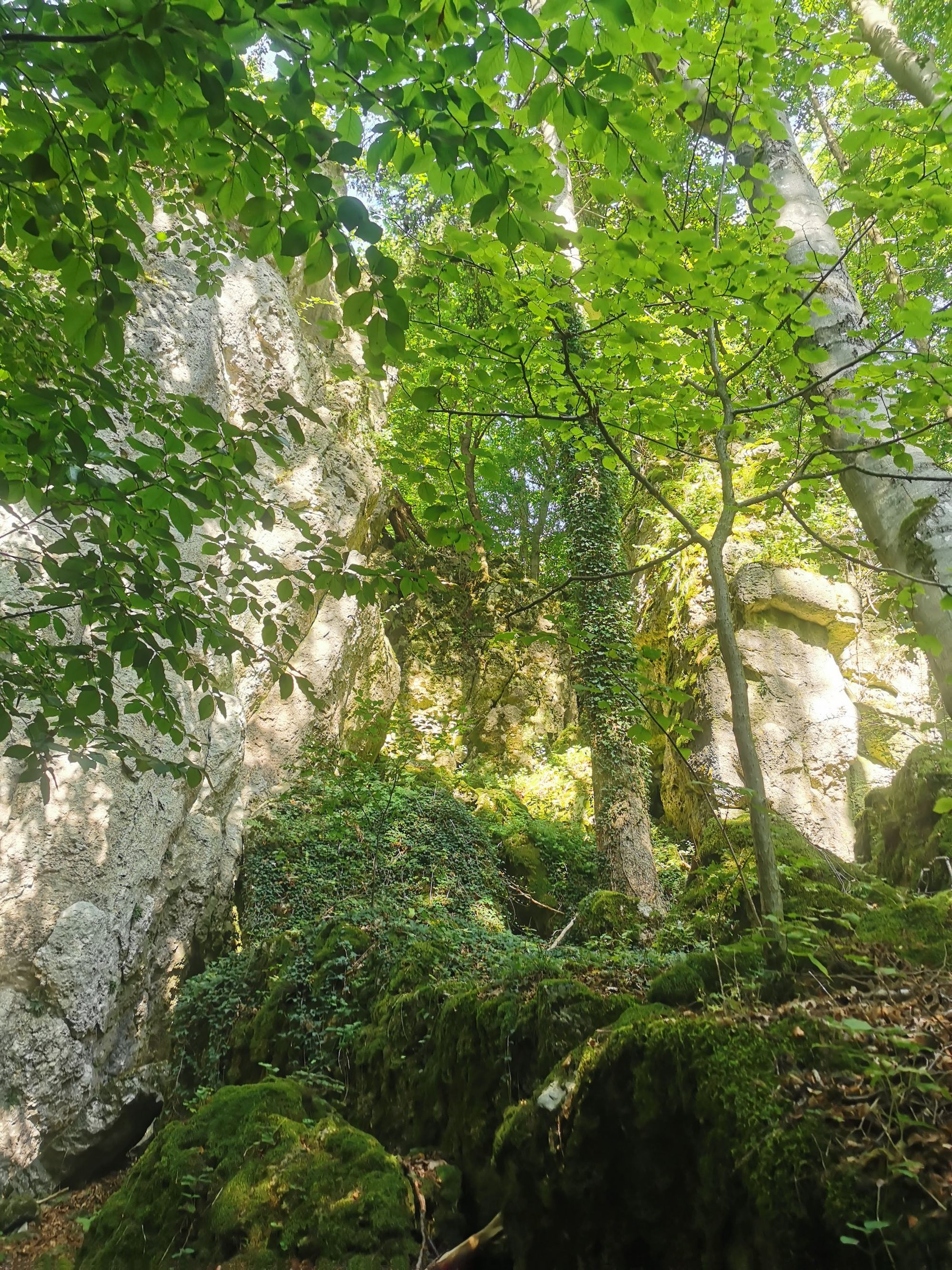 Obertrubach Rundwanderung der Felstunnel