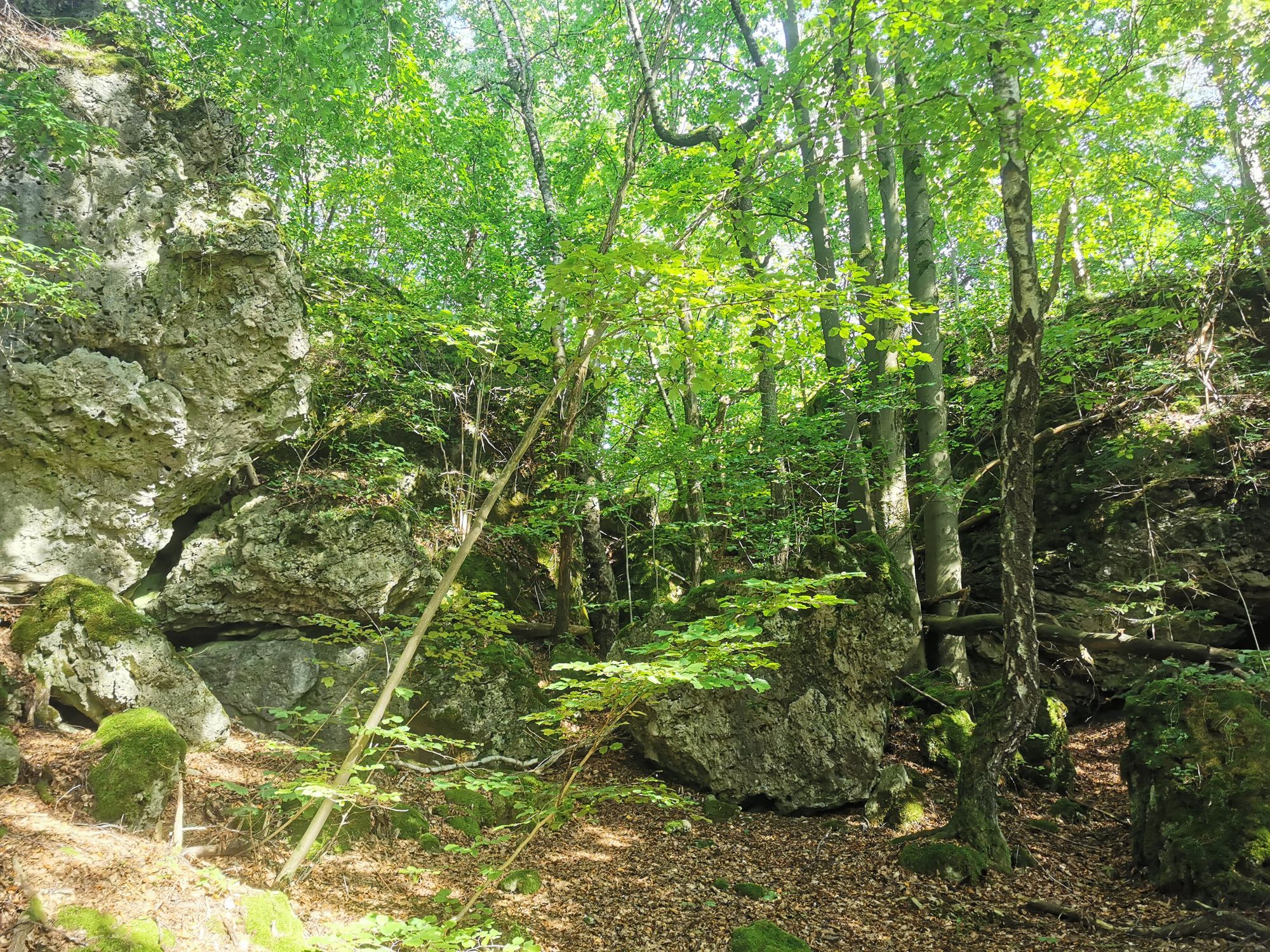 Obertrubach Rundwanderung der Felstunnel