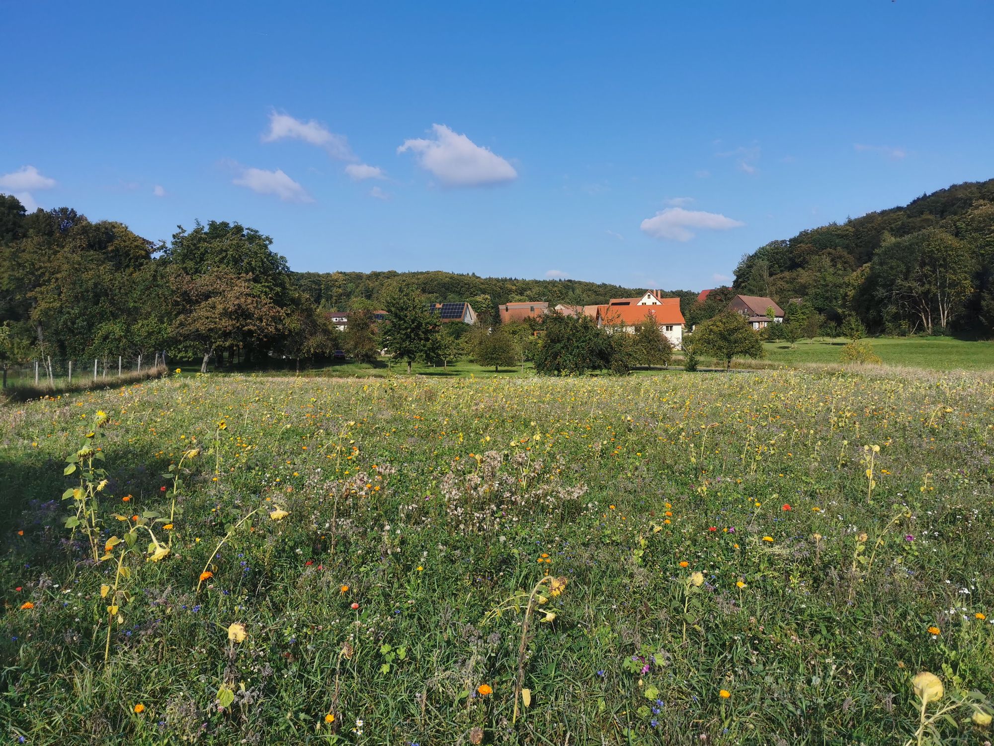 Obertrubach Rundwanderung der Felstunnel