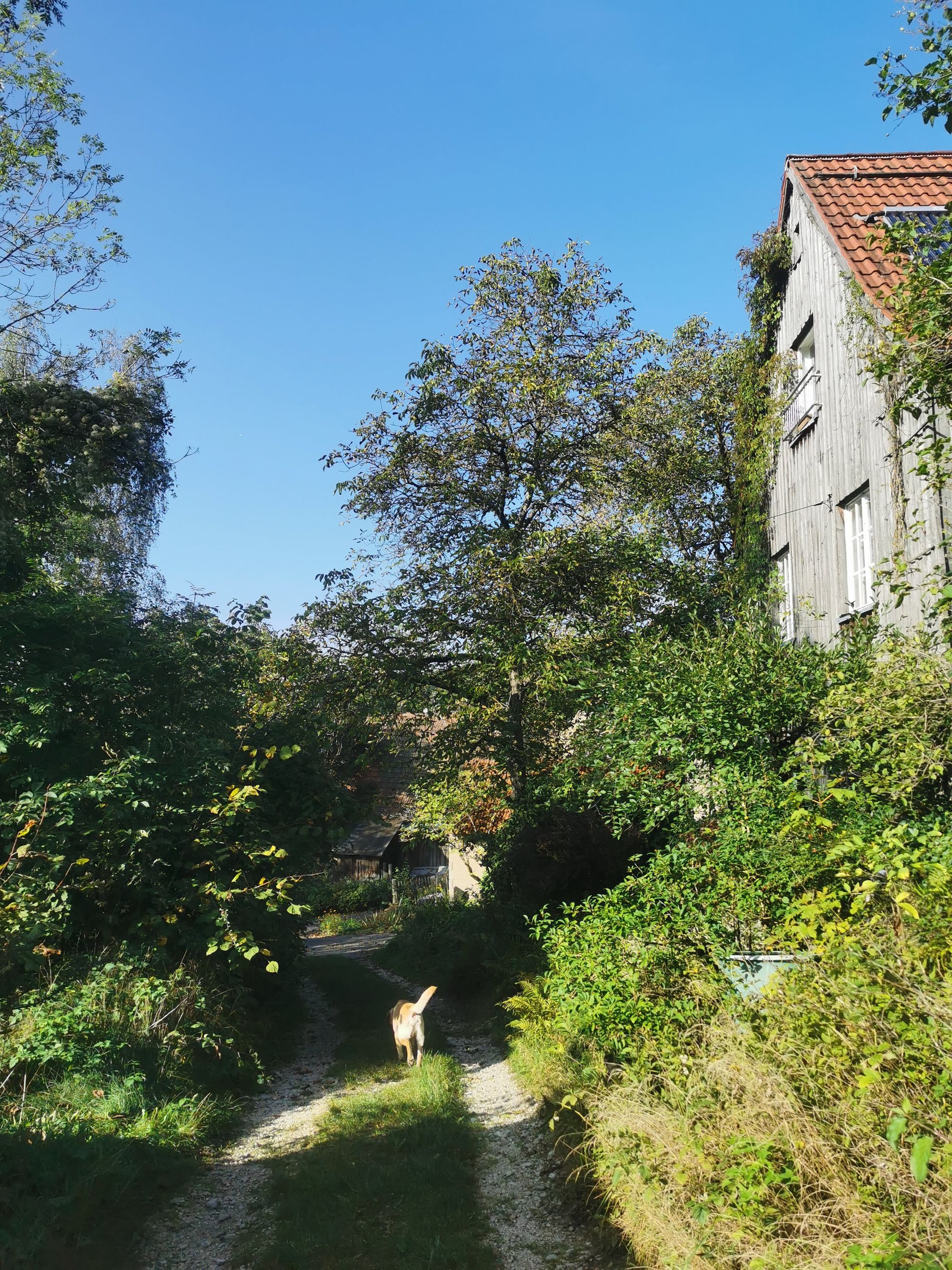 Obertrubach Rundwanderung der Felstunnel