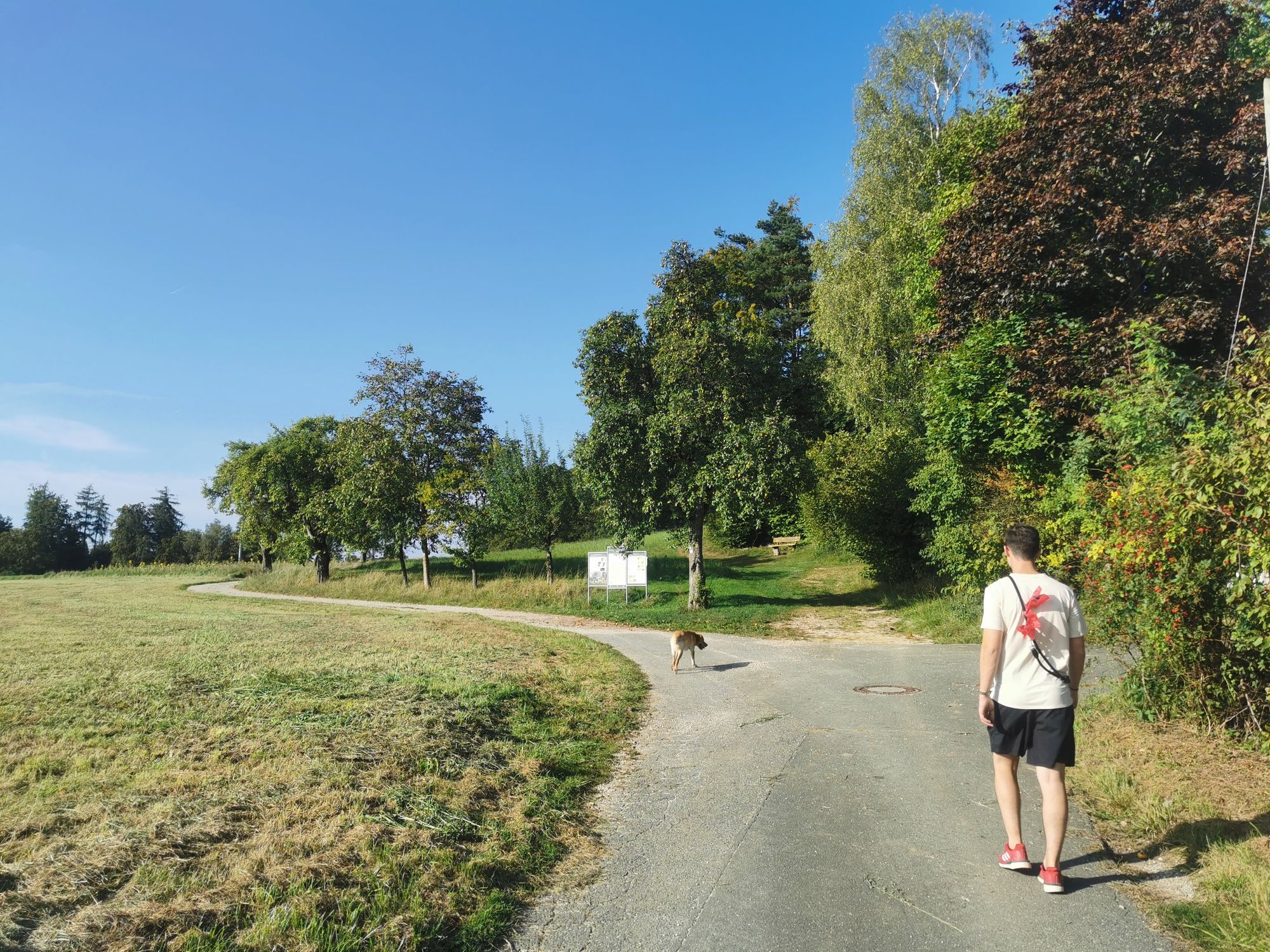 Obertrubach Rundwanderung der Felstunnel