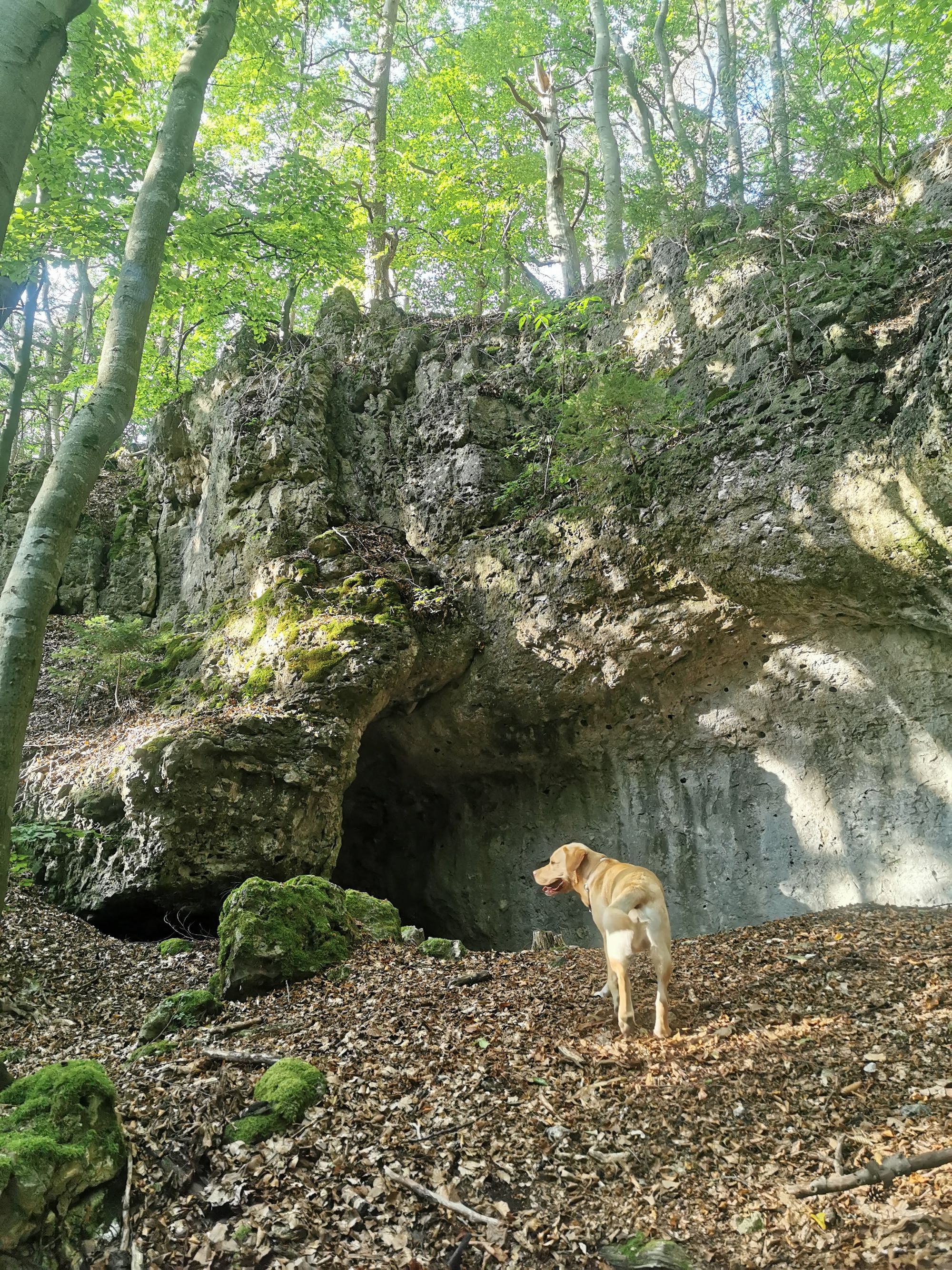 Obertrubach Rundwanderung der Felstunnel