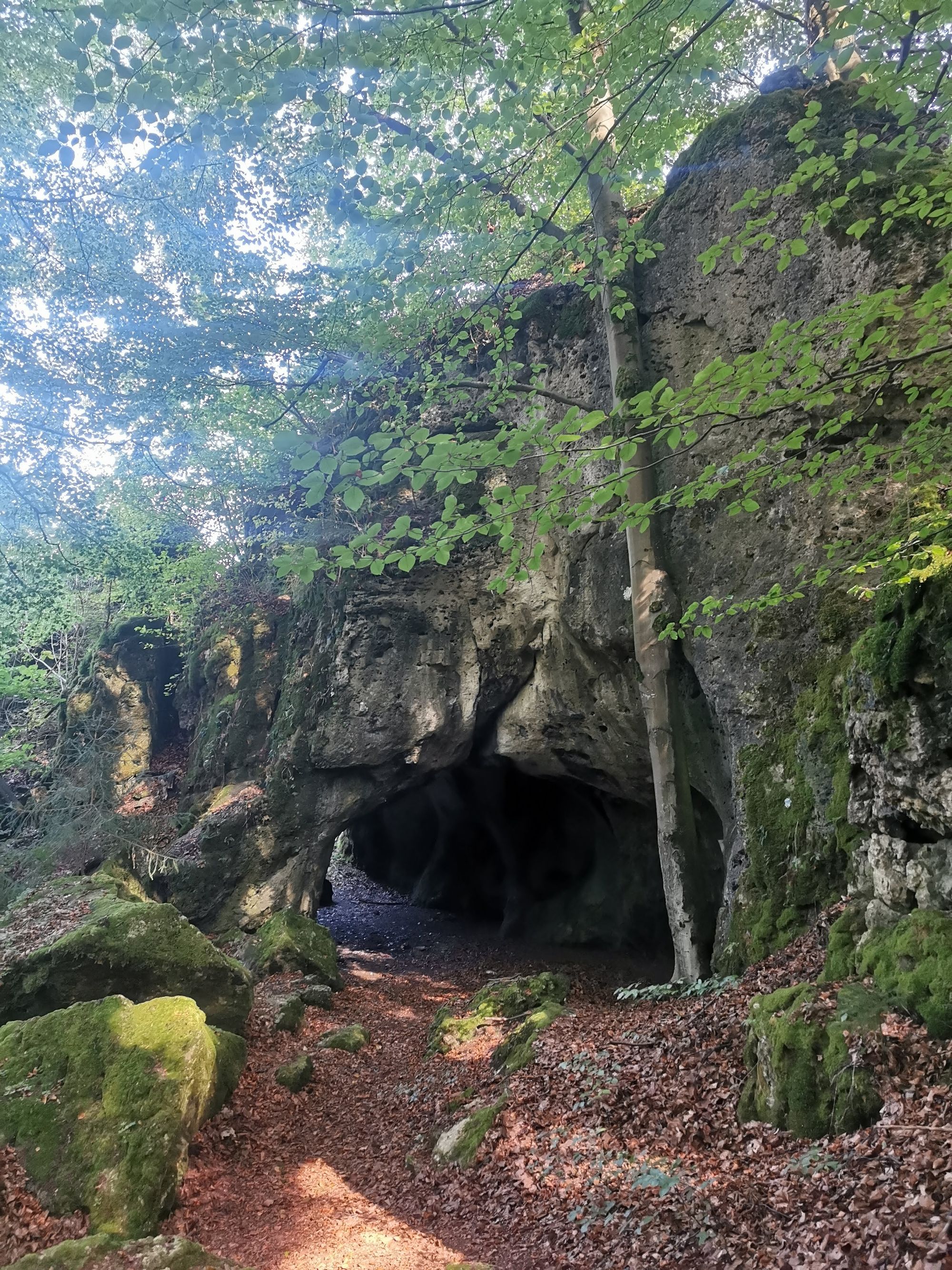 Obertrubach Rundwanderung der Felstunnel