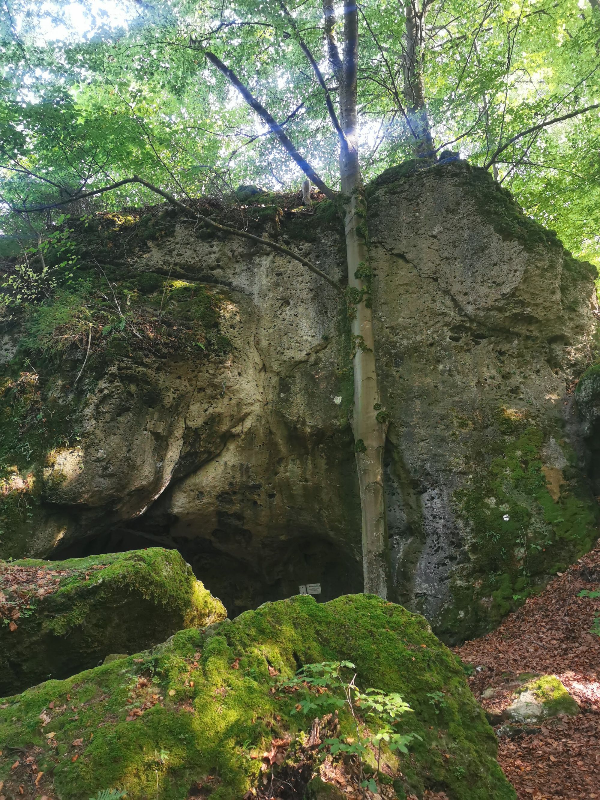 Obertrubach Rundwanderung der Felstunnel