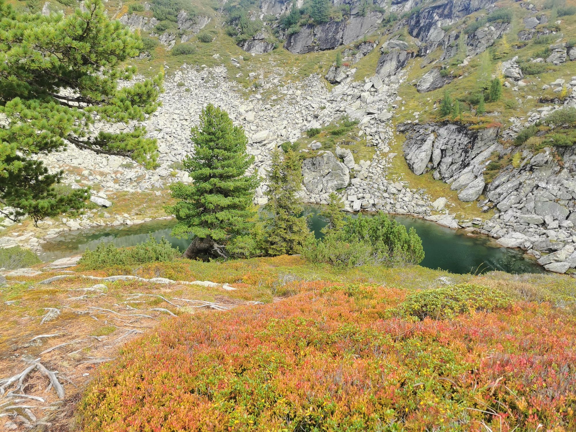 Reiteralm: Höhenweg Wanderung zum Spiegelsee und Rippeteck