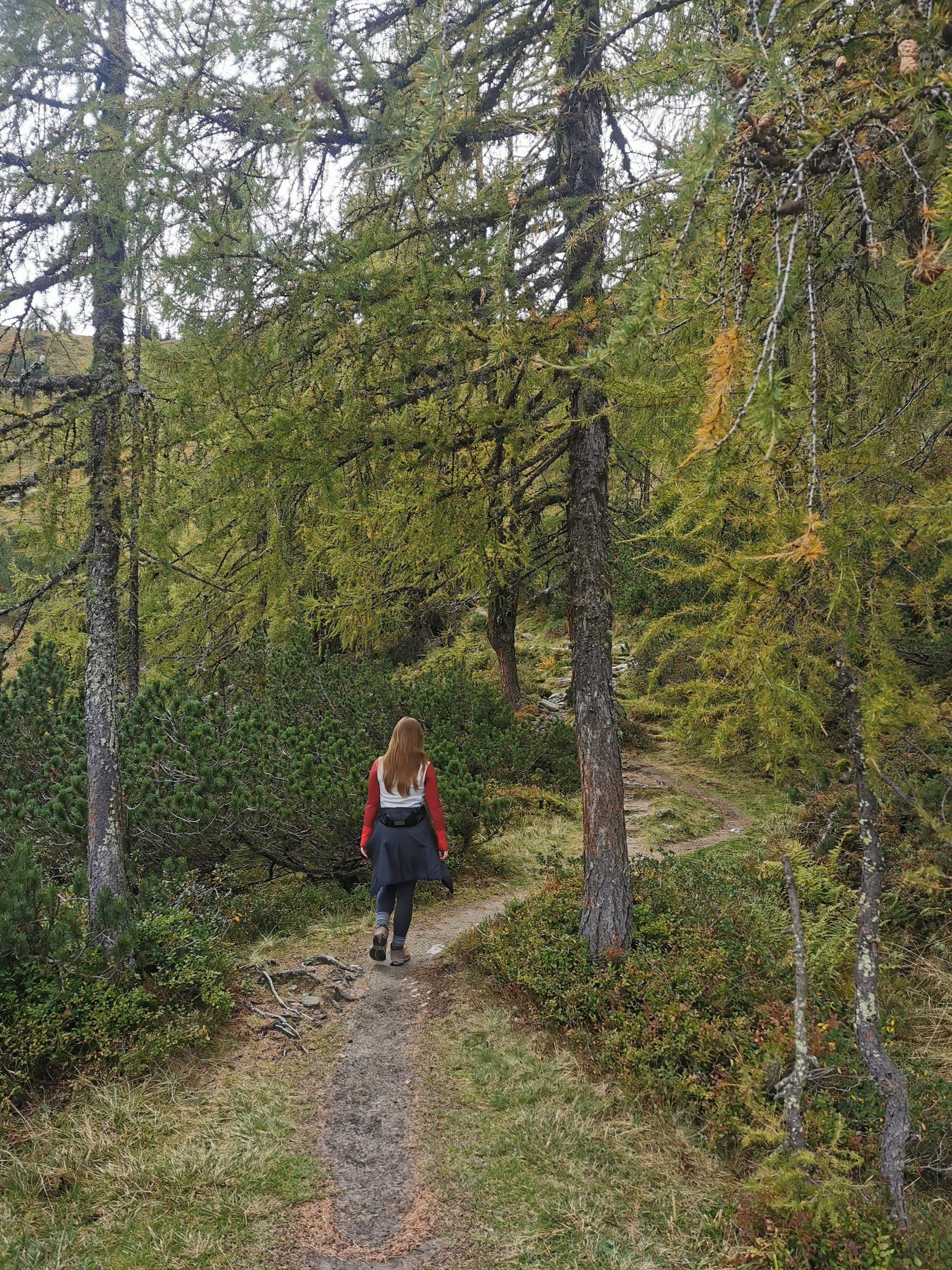 Reiteralm: Höhenweg Wanderung zum Spiegelsee und Rippeteck