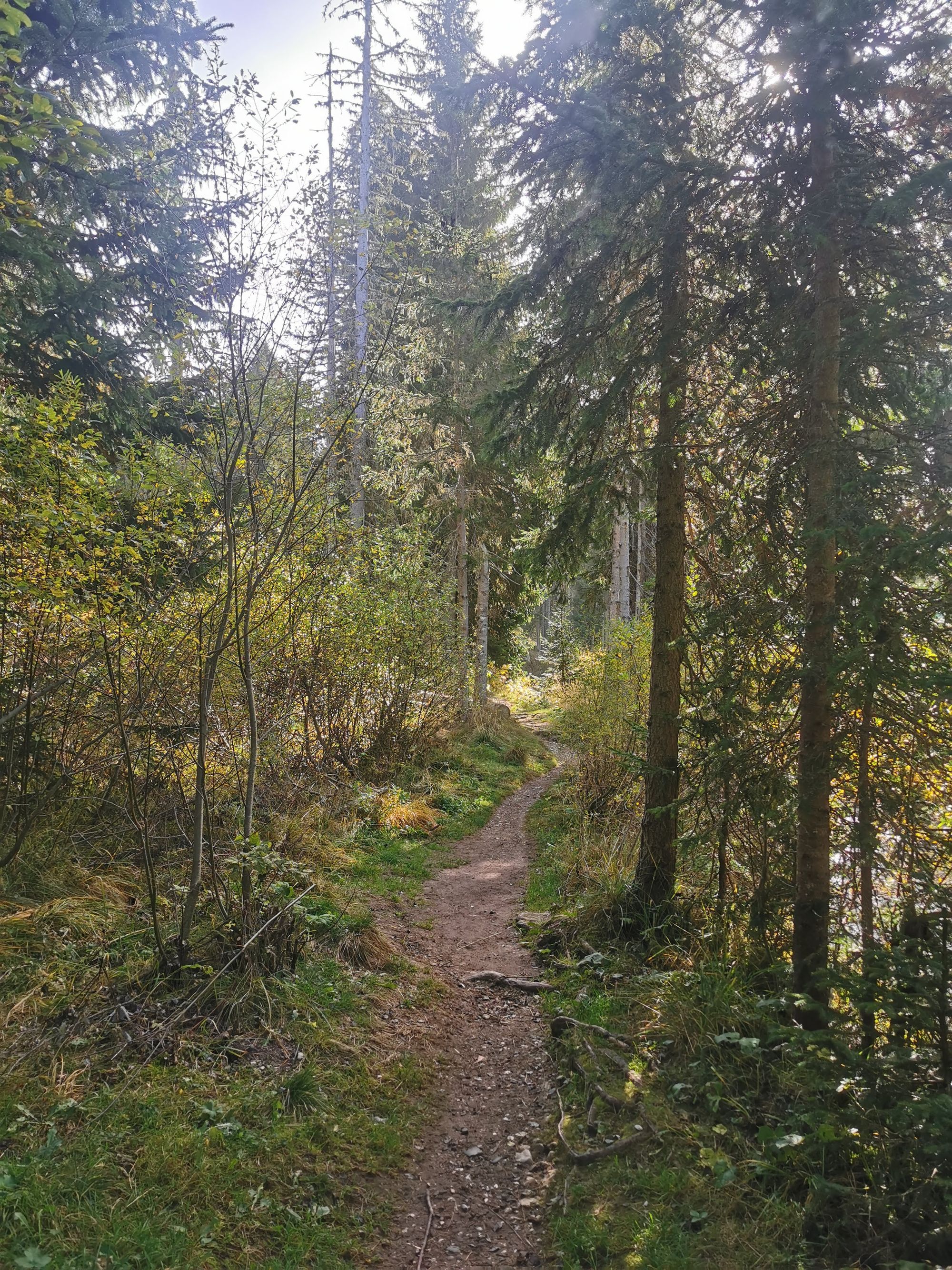 Sextener Dolomiten: Rotwand - Rotwandwiesen Rundwanderung