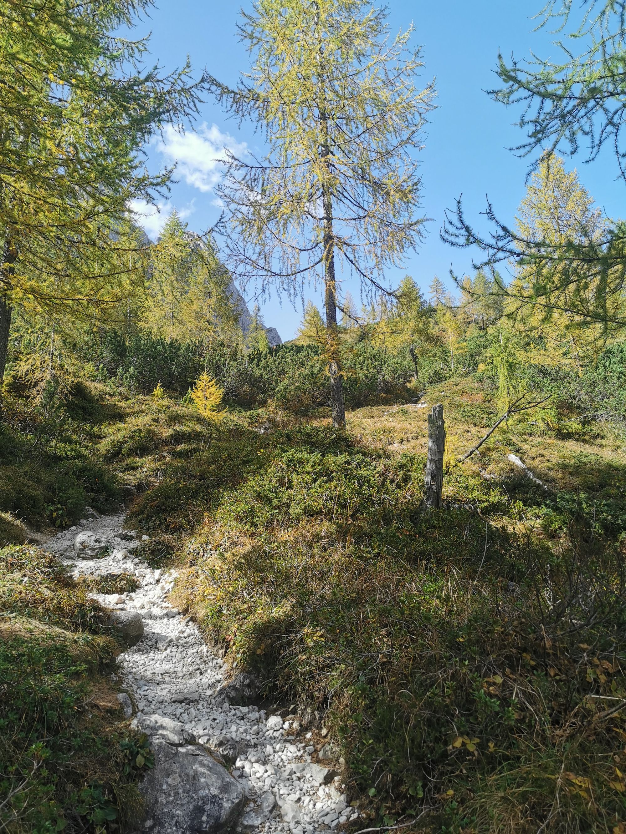 Sextener Dolomiten: Rotwand - Rotwandwiesen Rundwanderung