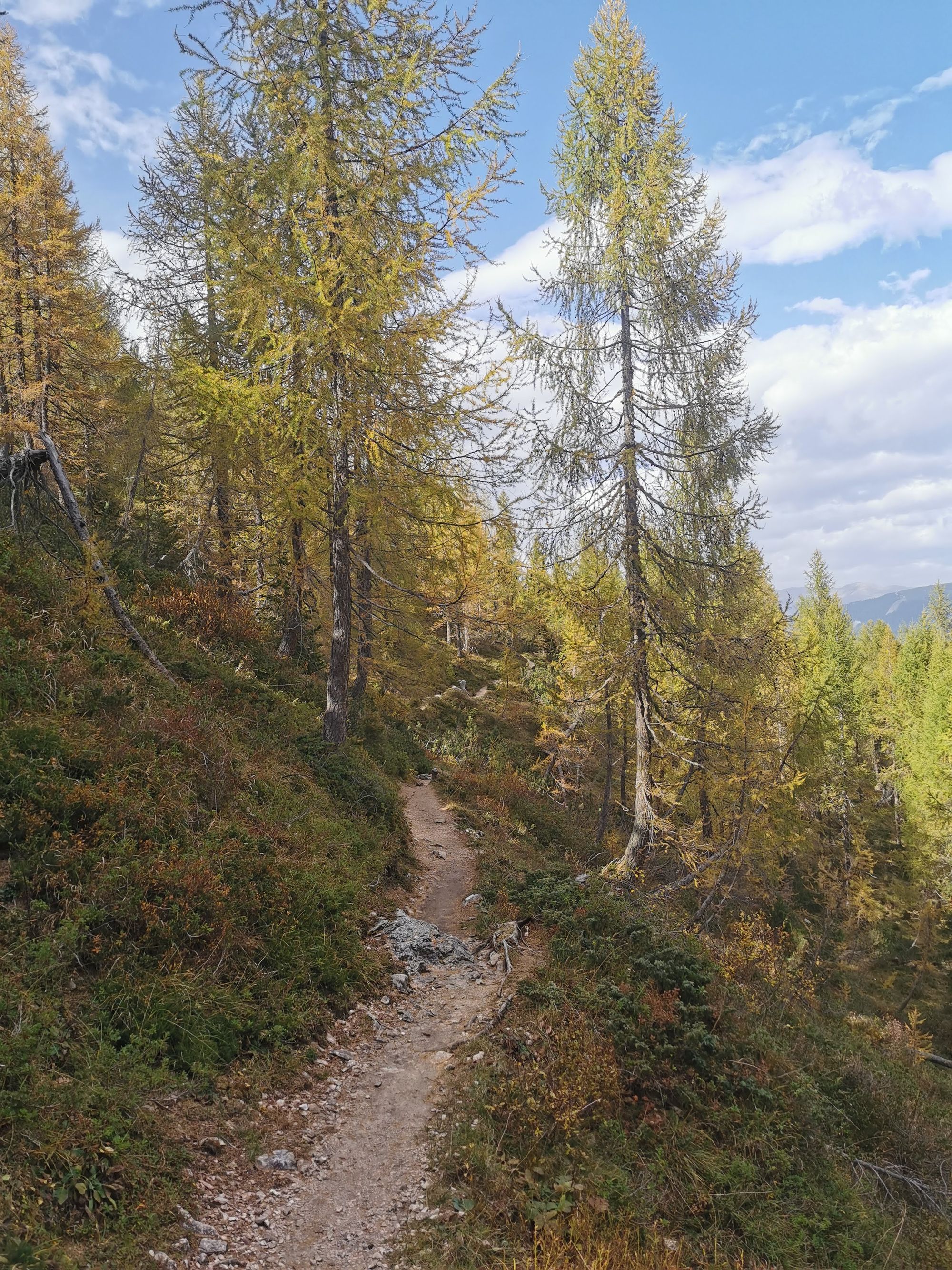 Sextener Dolomiten: Rotwand - Rotwandwiesen Rundwanderung
