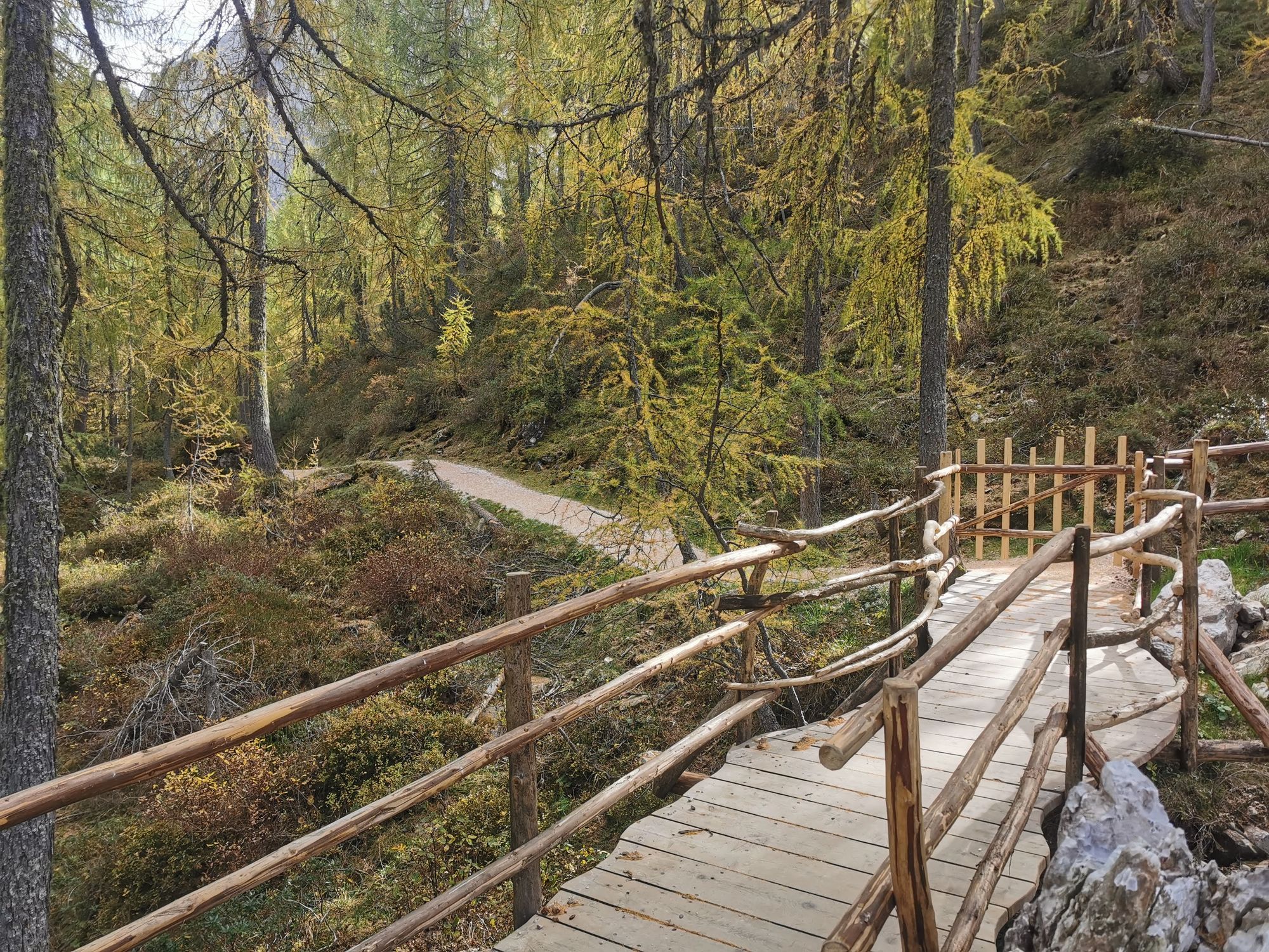 Sextener Dolomiten: Rotwand - Rotwandwiesen Rundwanderung