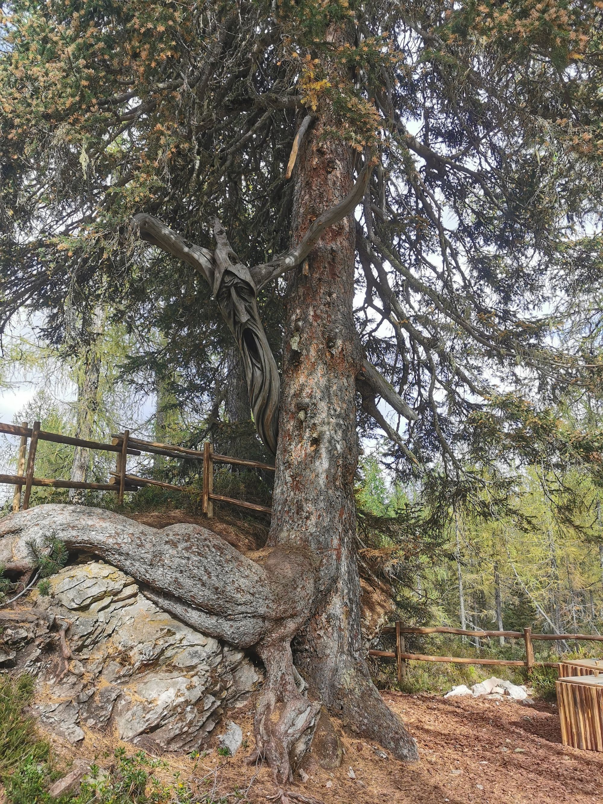 Sextener Dolomiten: Rotwand - Rotwandwiesen Rundwanderung