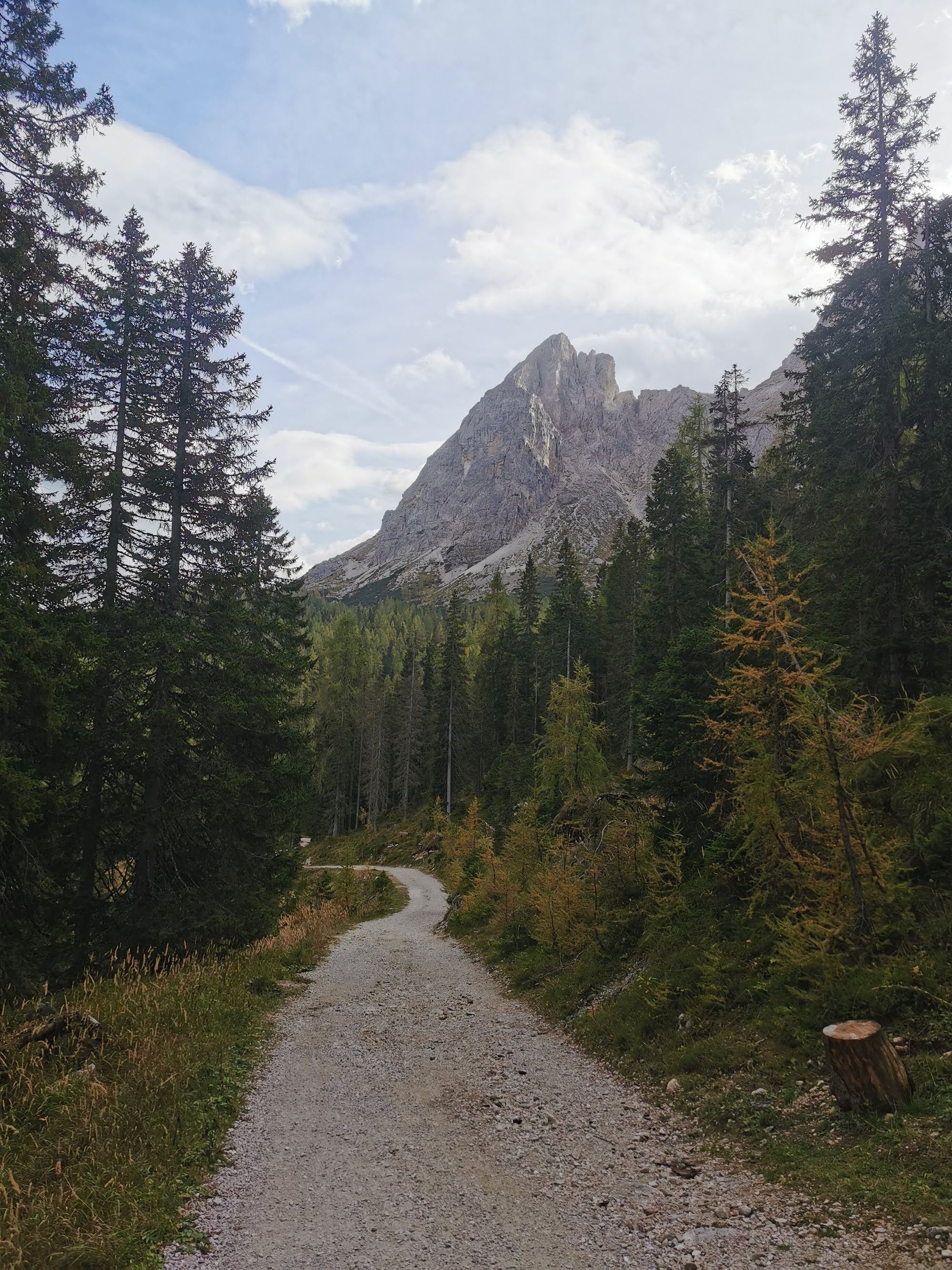 Sextener Dolomiten: Rotwand - Rotwandwiesen Rundwanderung