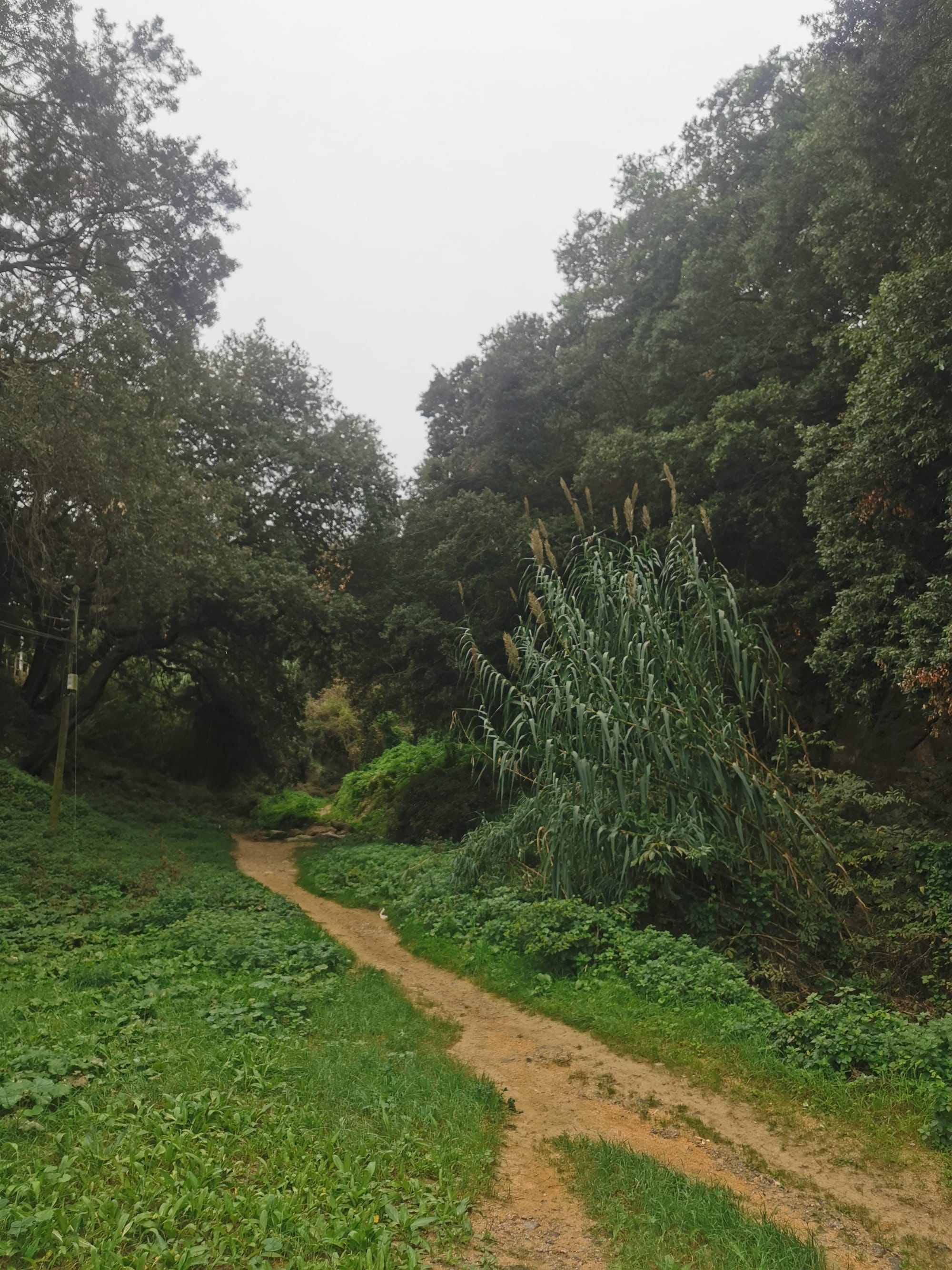 Costa Brava: Wunderschöne Küstenwanderung bei Begur