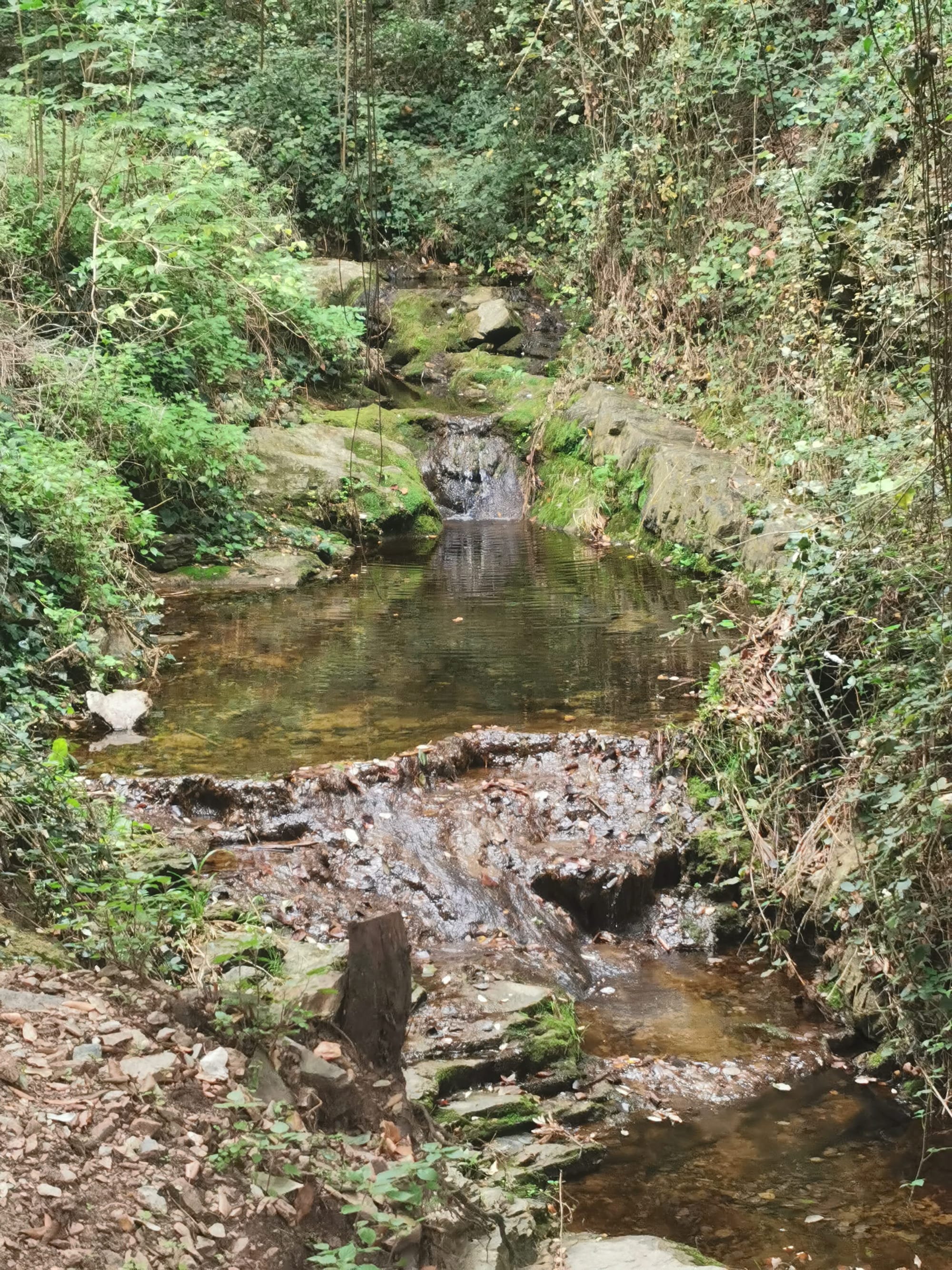 Costa Brava: Wunderschöne Küstenwanderung bei Begur