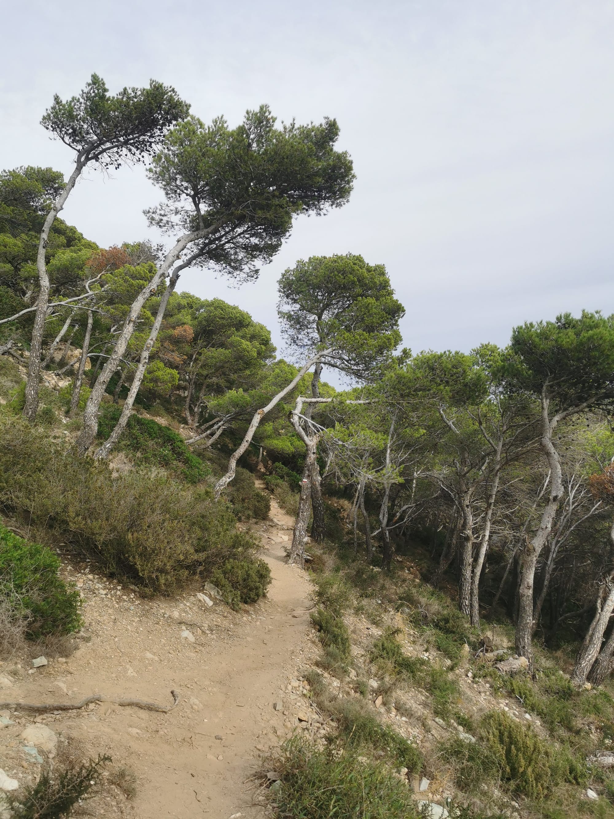 Costa Brava: Wunderschöne Küstenwanderung bei Begur