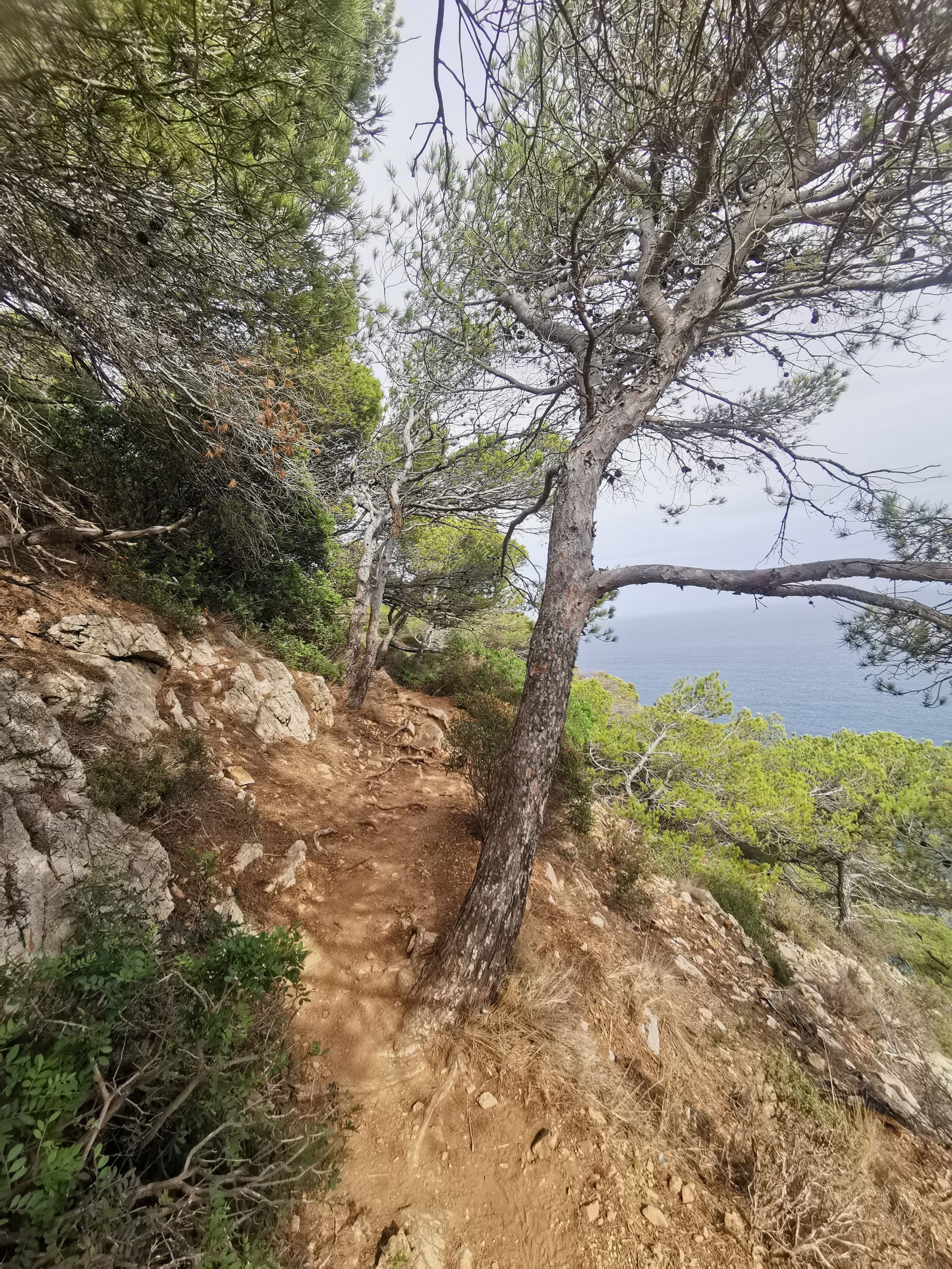 Costa Brava: Wunderschöne Küstenwanderung bei Begur