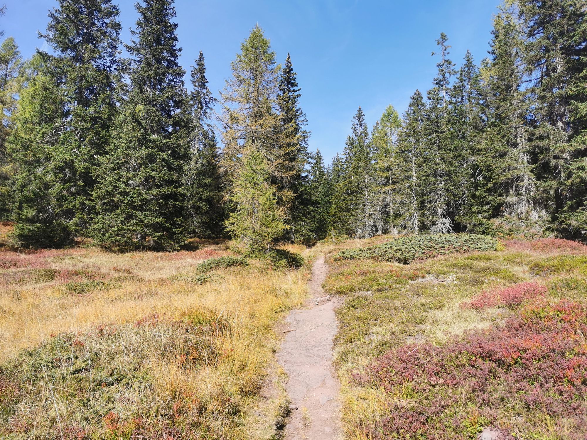 Sextener Dolomiten: Almwanderung Seikofel - Alpe Nemes Hütte - Malga Coltrondo