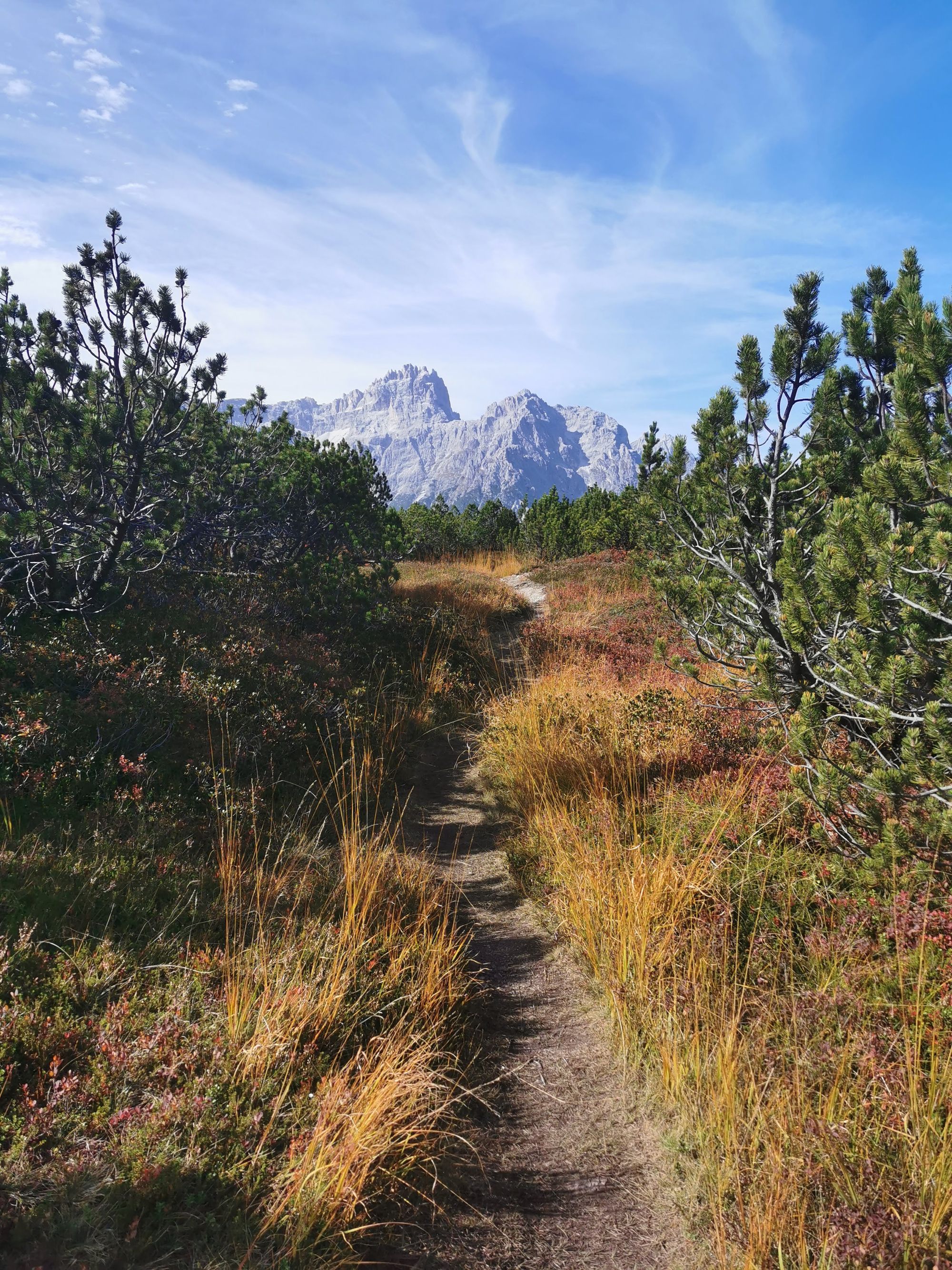 Sextener Dolomiten: Almwanderung Seikofel - Alpe Nemes Hütte - Malga Coltrondo