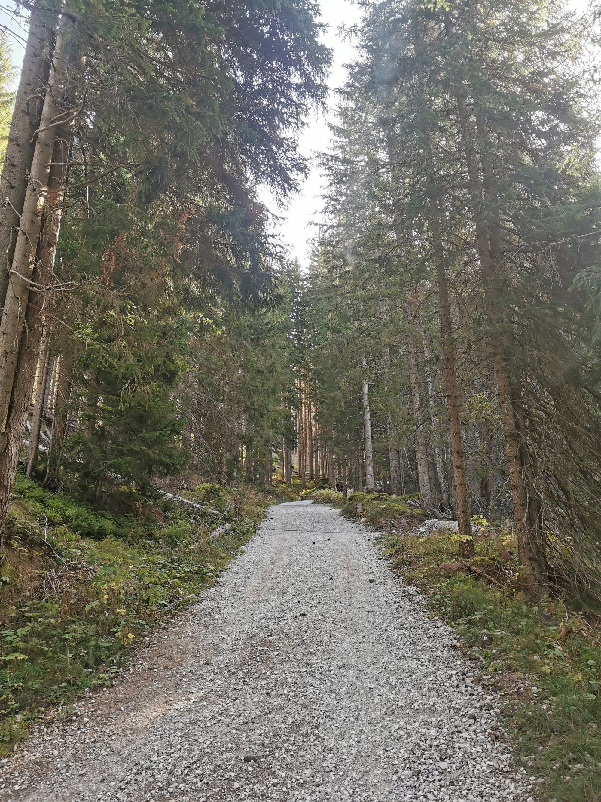 Sextener Dolomiten: Almwanderung Seikofel - Alpe Nemes Hütte - Malga Coltrondo