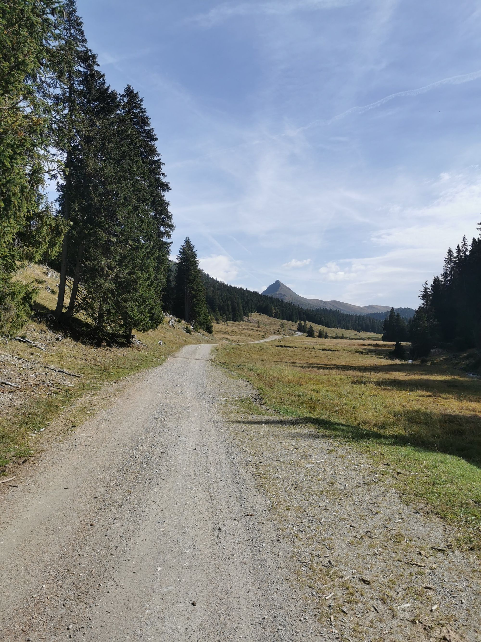 Sextener Dolomiten: Almwanderung Seikofel - Alpe Nemes Hütte - Malga Coltrondo