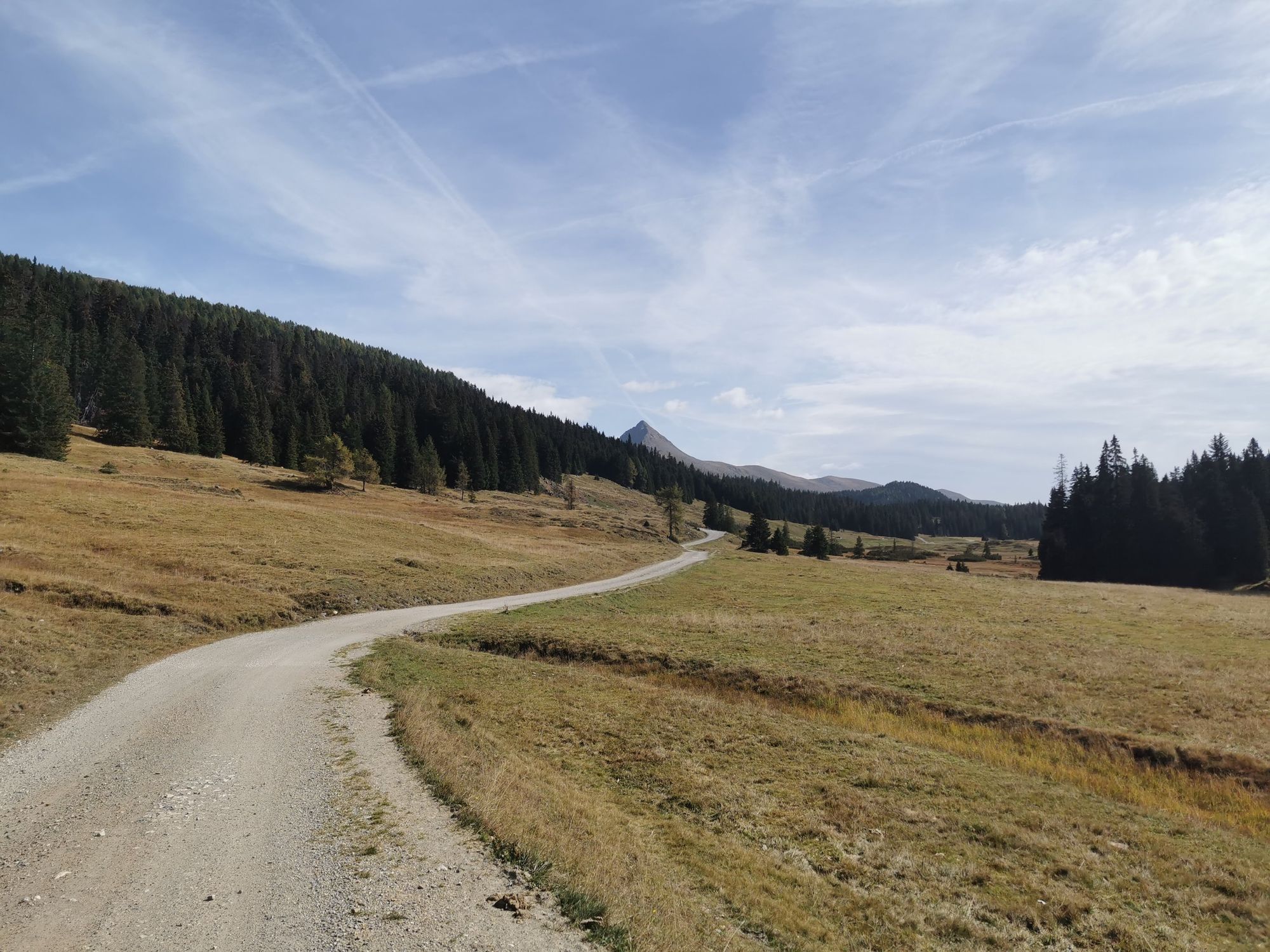 Sextener Dolomiten: Almwanderung Seikofel - Alpe Nemes Hütte - Malga Coltrondo