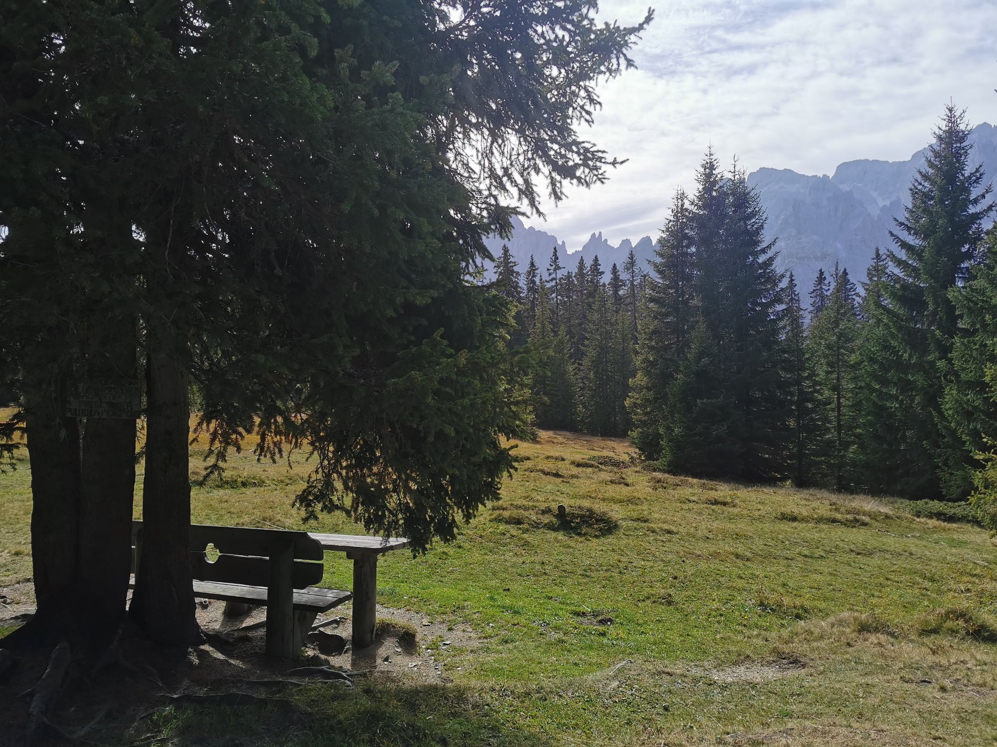 Sextener Dolomiten: Almwanderung Seikofel - Alpe Nemes Hütte - Malga Coltrondo