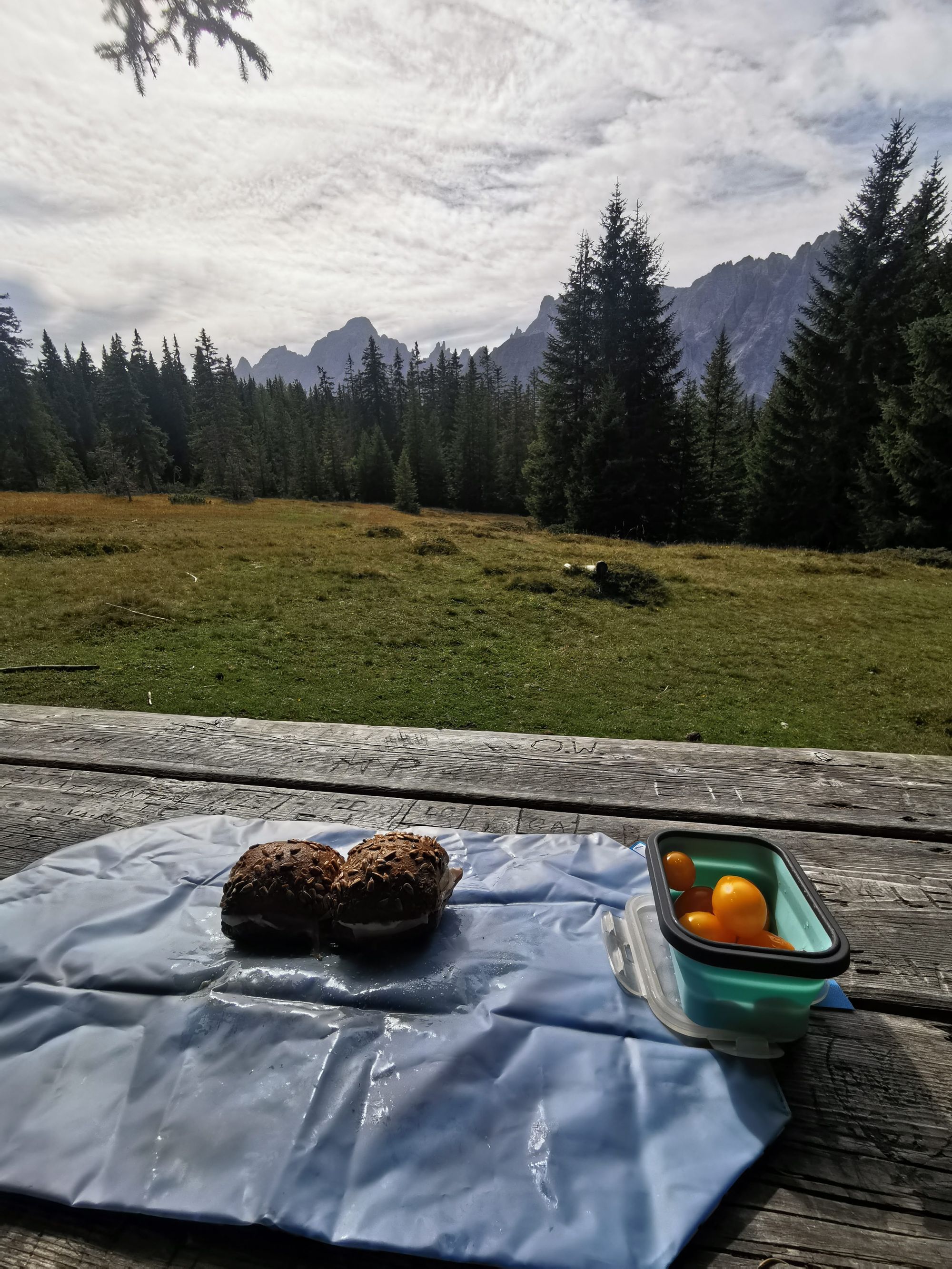 Sextener Dolomiten: Almwanderung Seikofel - Alpe Nemes Hütte - Malga Coltrondo