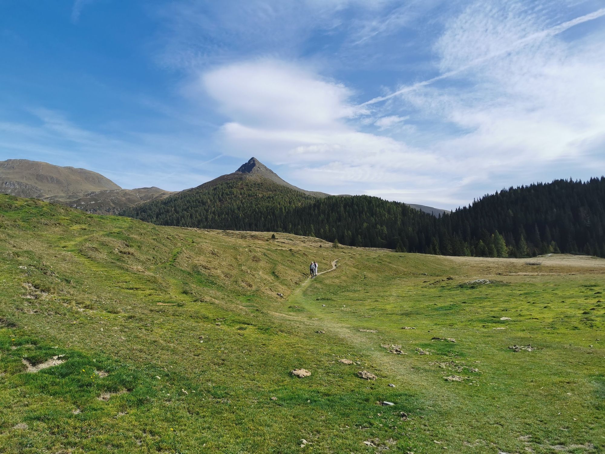 Sextener Dolomiten: Almwanderung Seikofel - Alpe Nemes Hütte - Malga Coltrondo