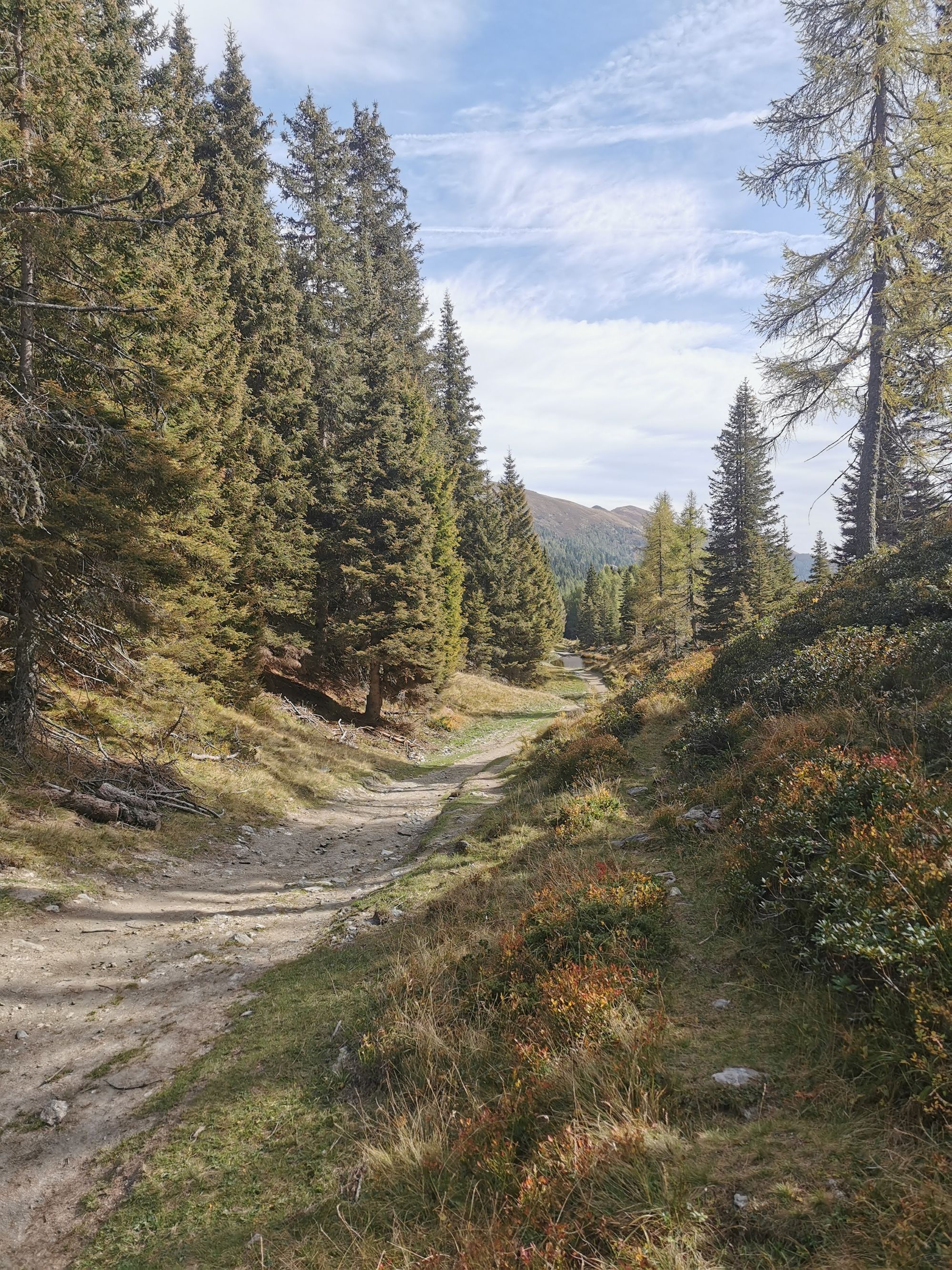 Sextener Dolomiten: Almwanderung Seikofel - Alpe Nemes Hütte - Malga Coltrondo