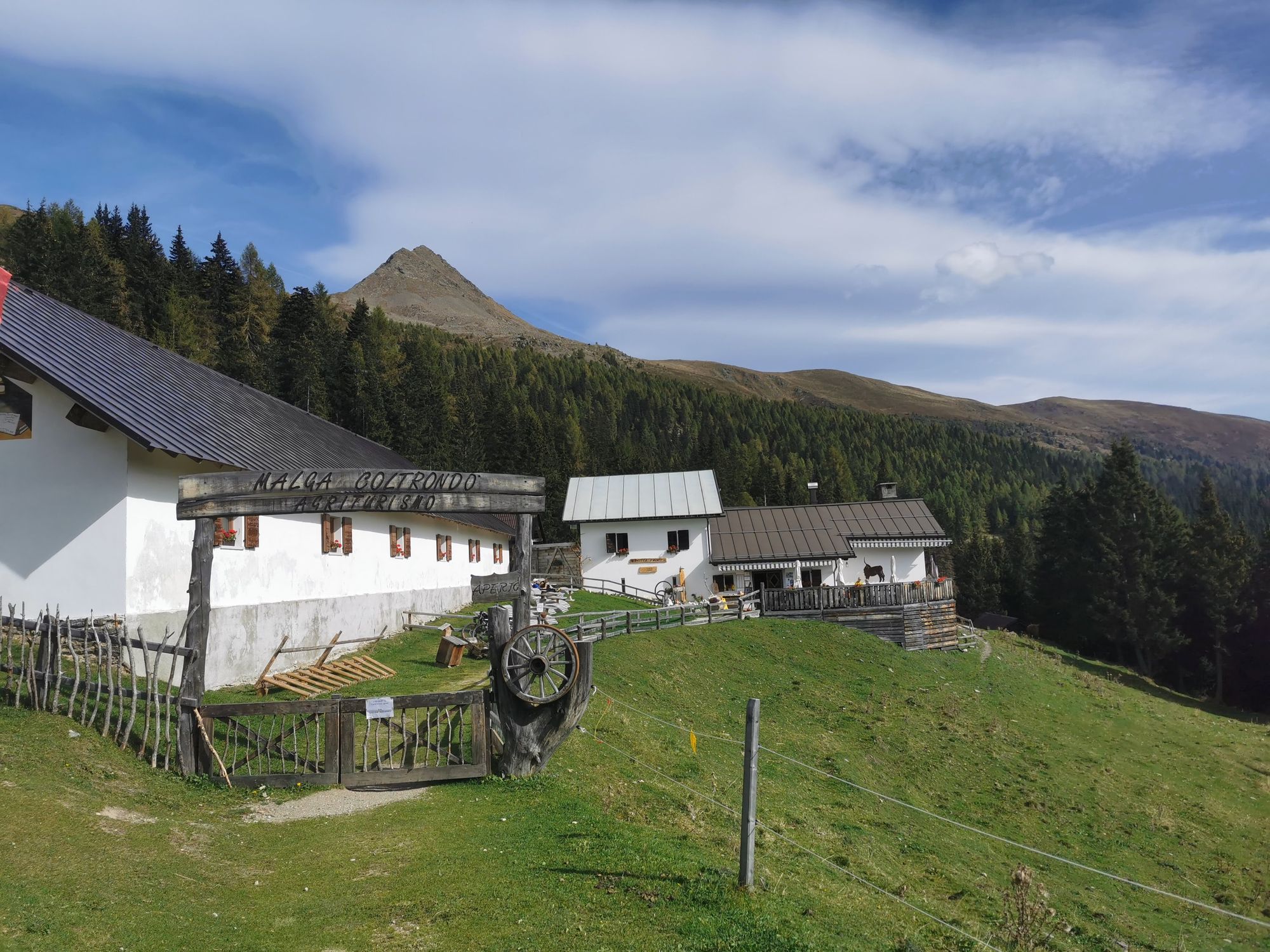 Sextener Dolomiten: Almwanderung Seikofel - Alpe Nemes Hütte - Malga Coltrondo