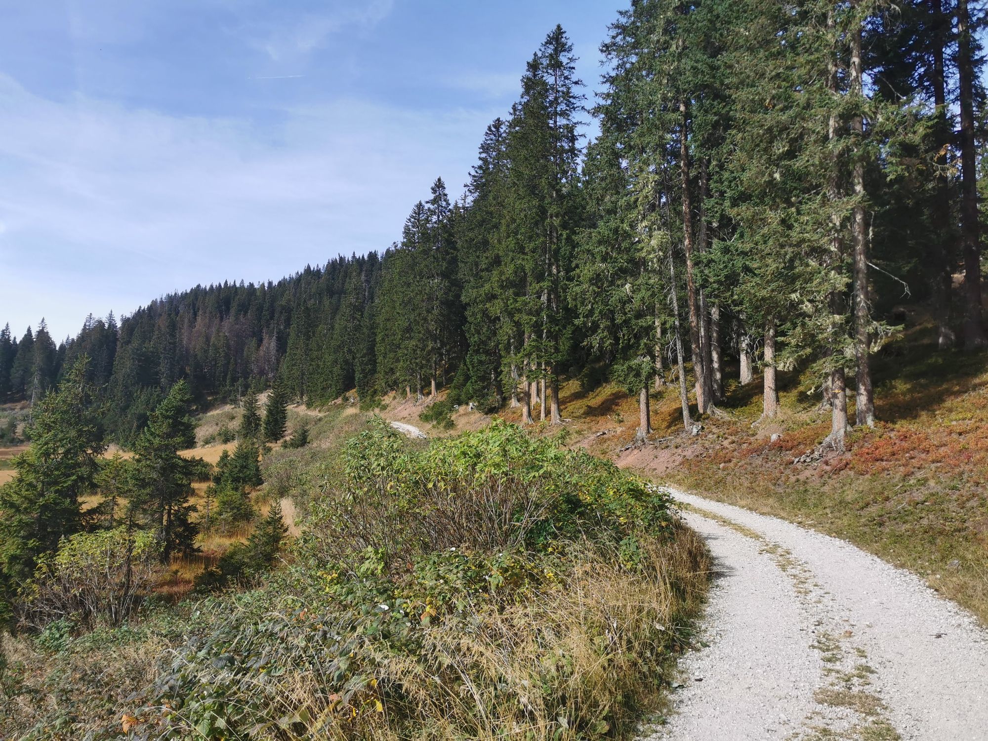 Sextener Dolomiten: Almwanderung Seikofel - Alpe Nemes Hütte - Malga Coltrondo