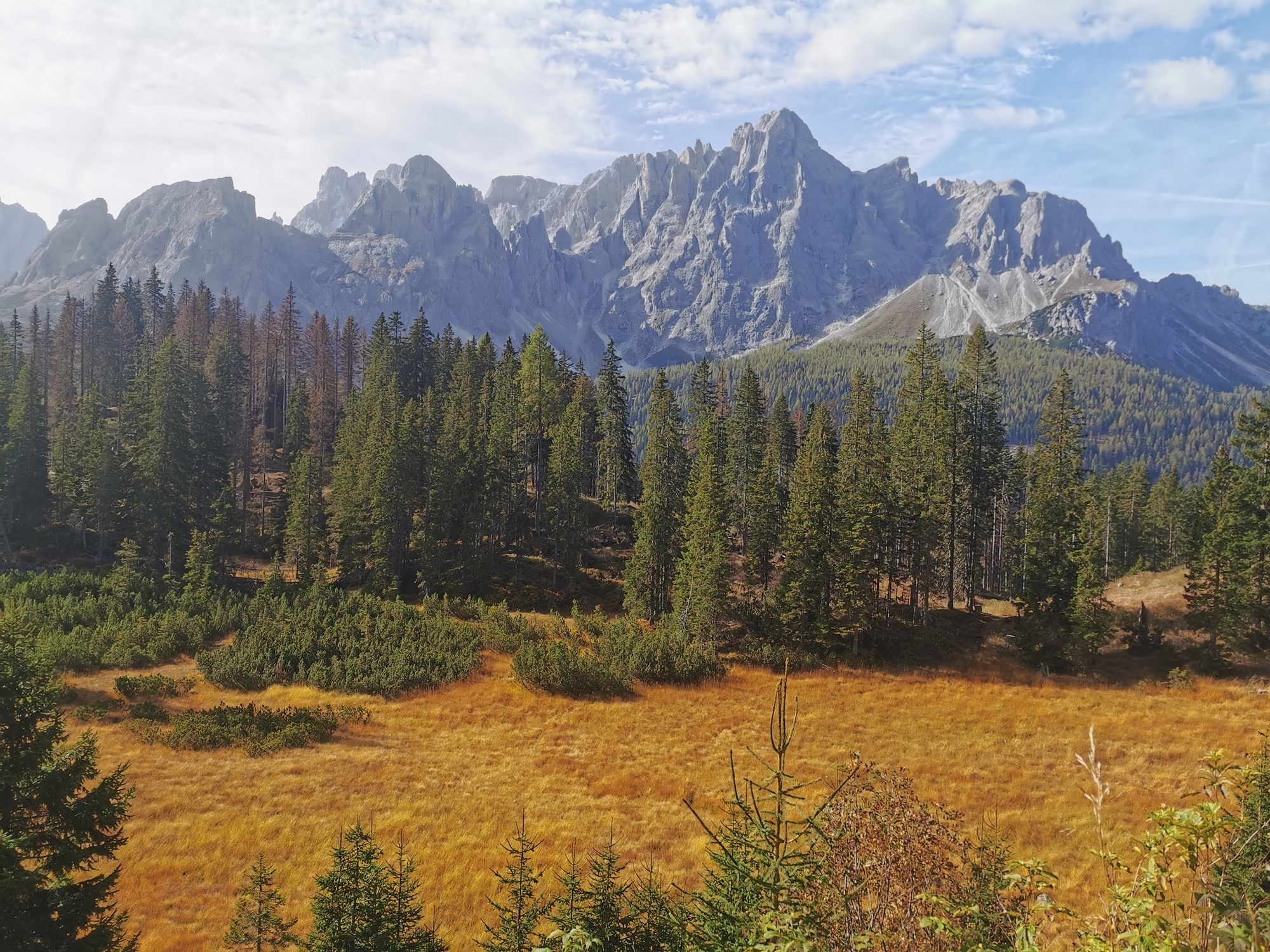 Sextener Dolomiten: Almwanderung Seikofel - Alpe Nemes Hütte - Malga Coltrondo