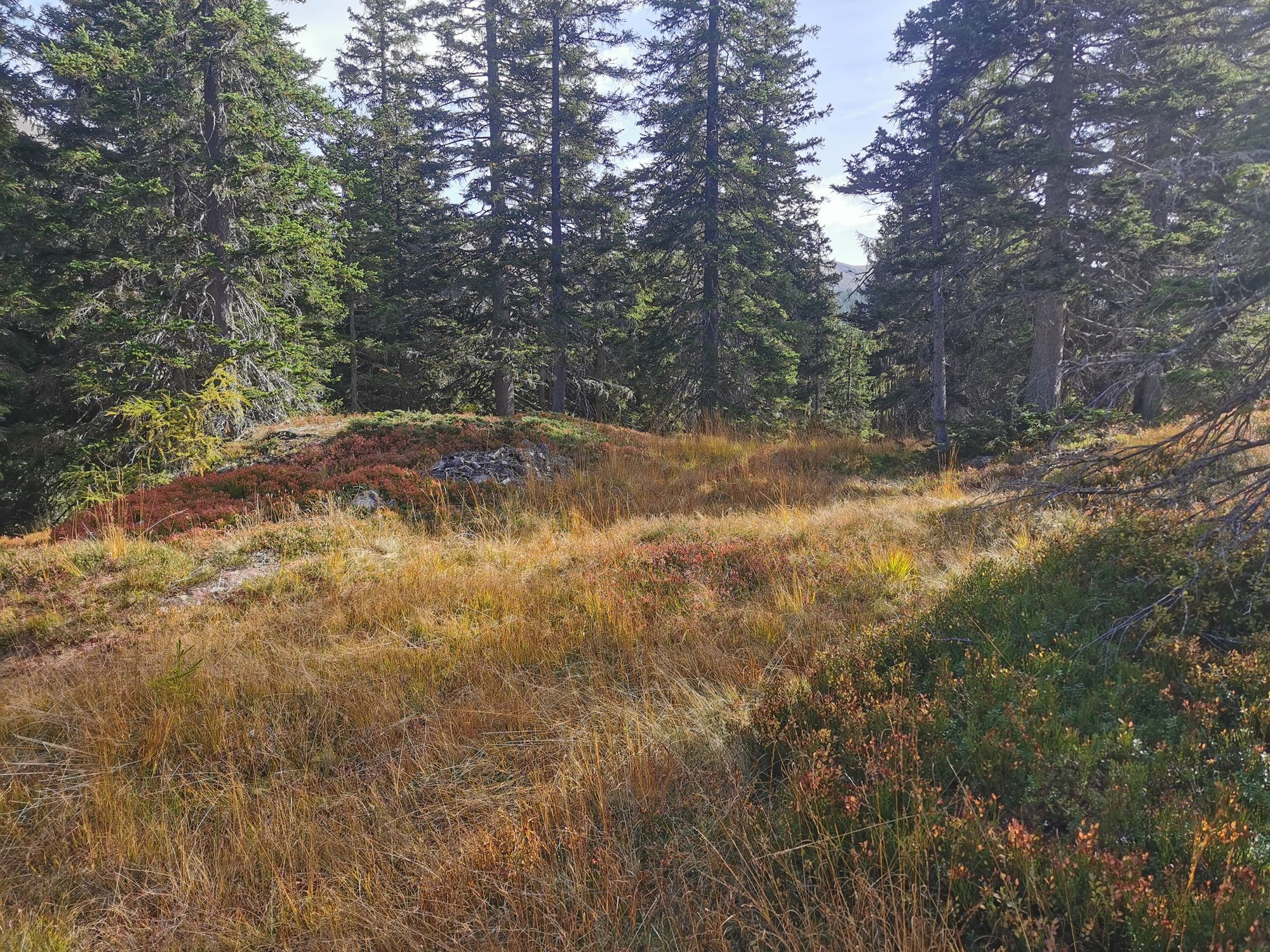 Sextener Dolomiten: Almwanderung Seikofel - Alpe Nemes Hütte - Malga Coltrondo