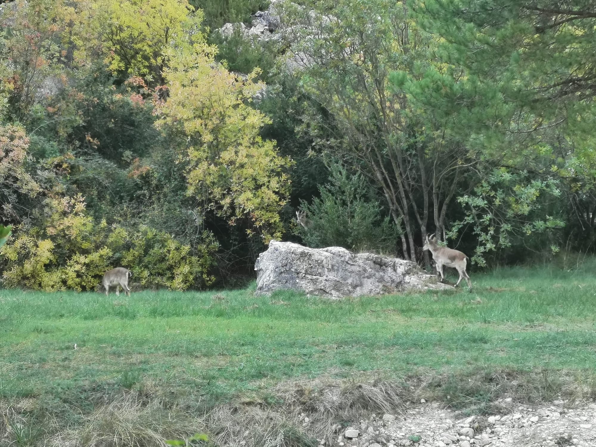 Wandern in Beceite: El Parrizal & der PR-TE 151 La Pesquera Trail