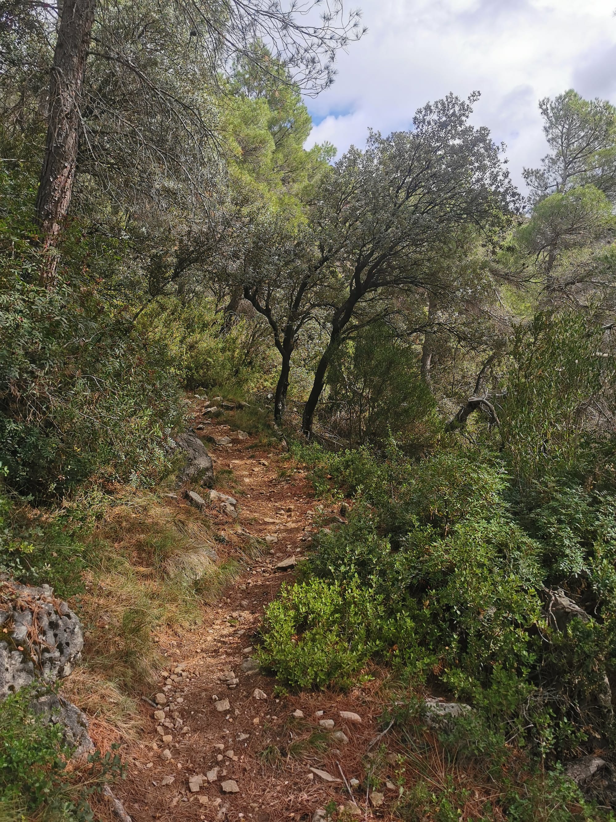 Wandern in Beceite: El Parrizal & der PR-TE 151 La Pesquera Trail