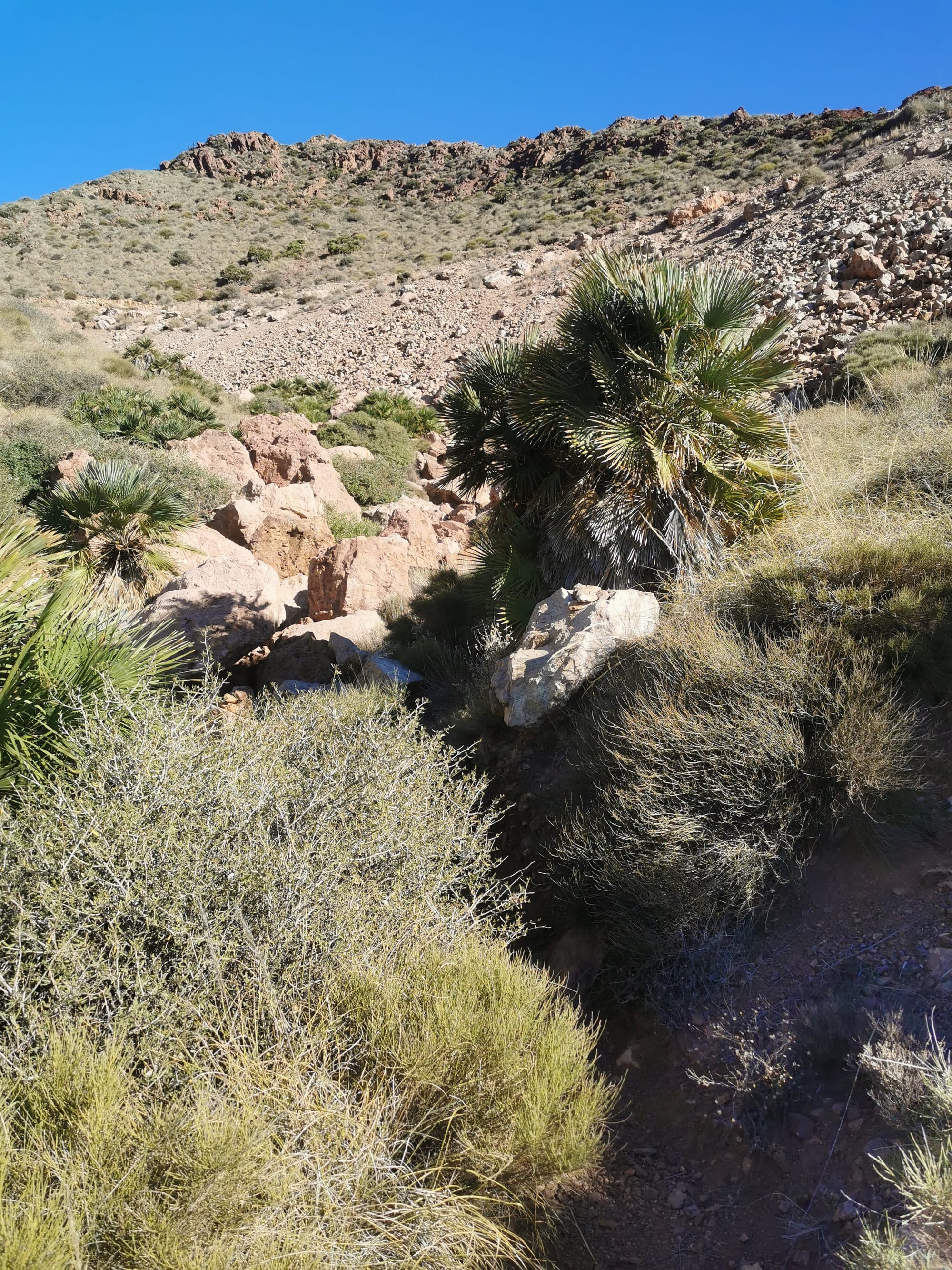 Cabo de Gata Nationalpark: 2 traumhafte Küstenwanderungen