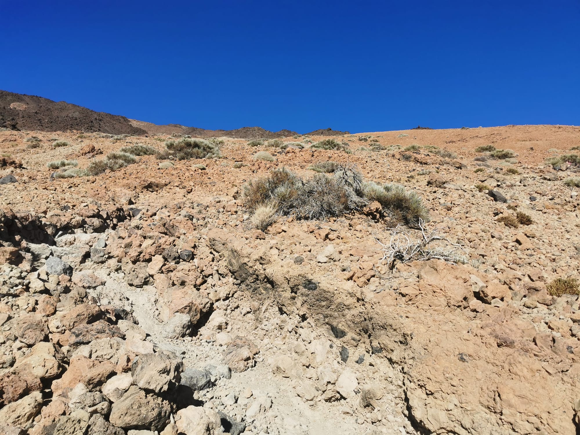 Pico del Teide: Aufstieg zum höchsten Gipfel Spaniens