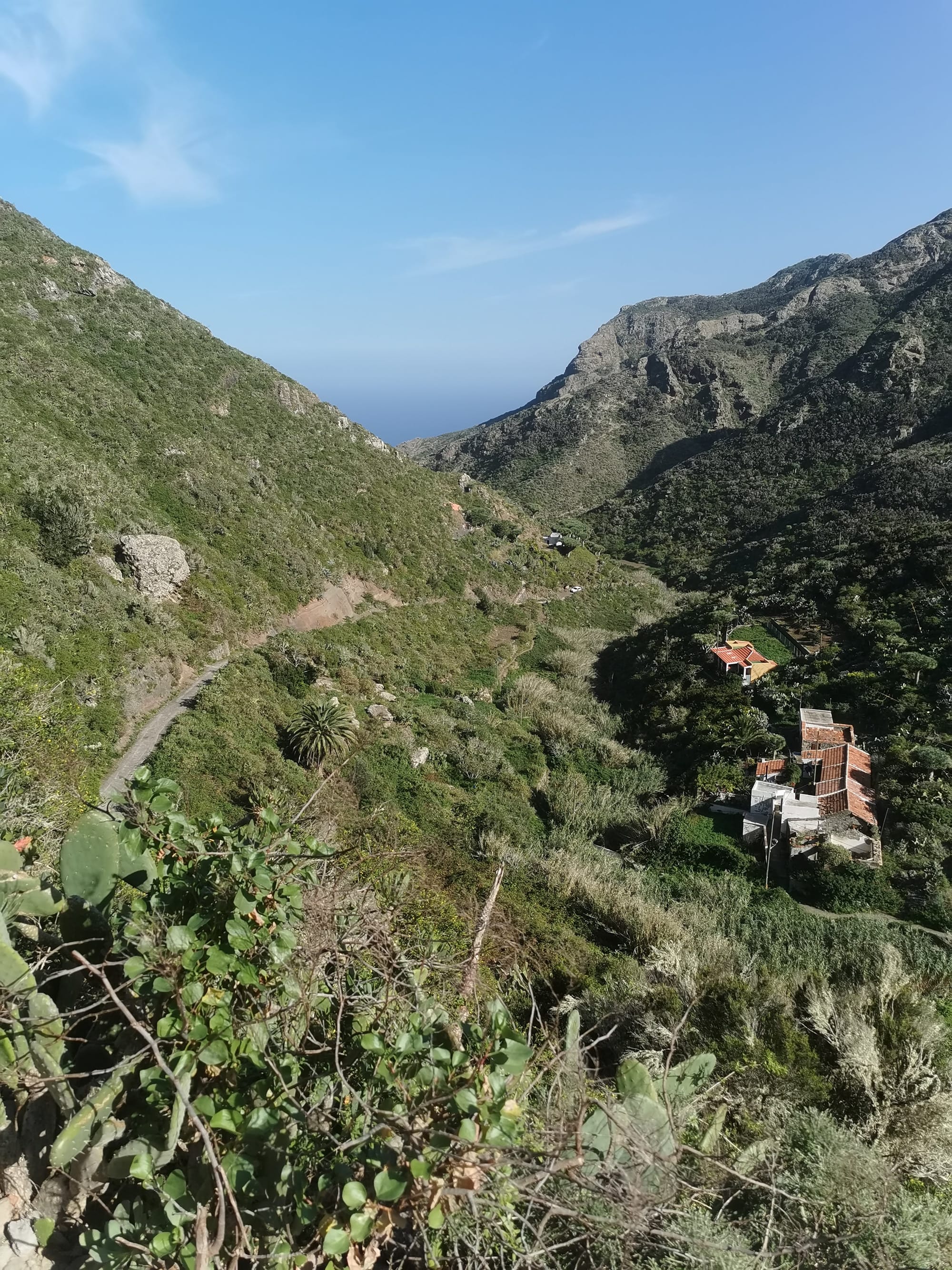 Teneriffa: Ein Leitfaden für die 11 schönsten Wanderungen