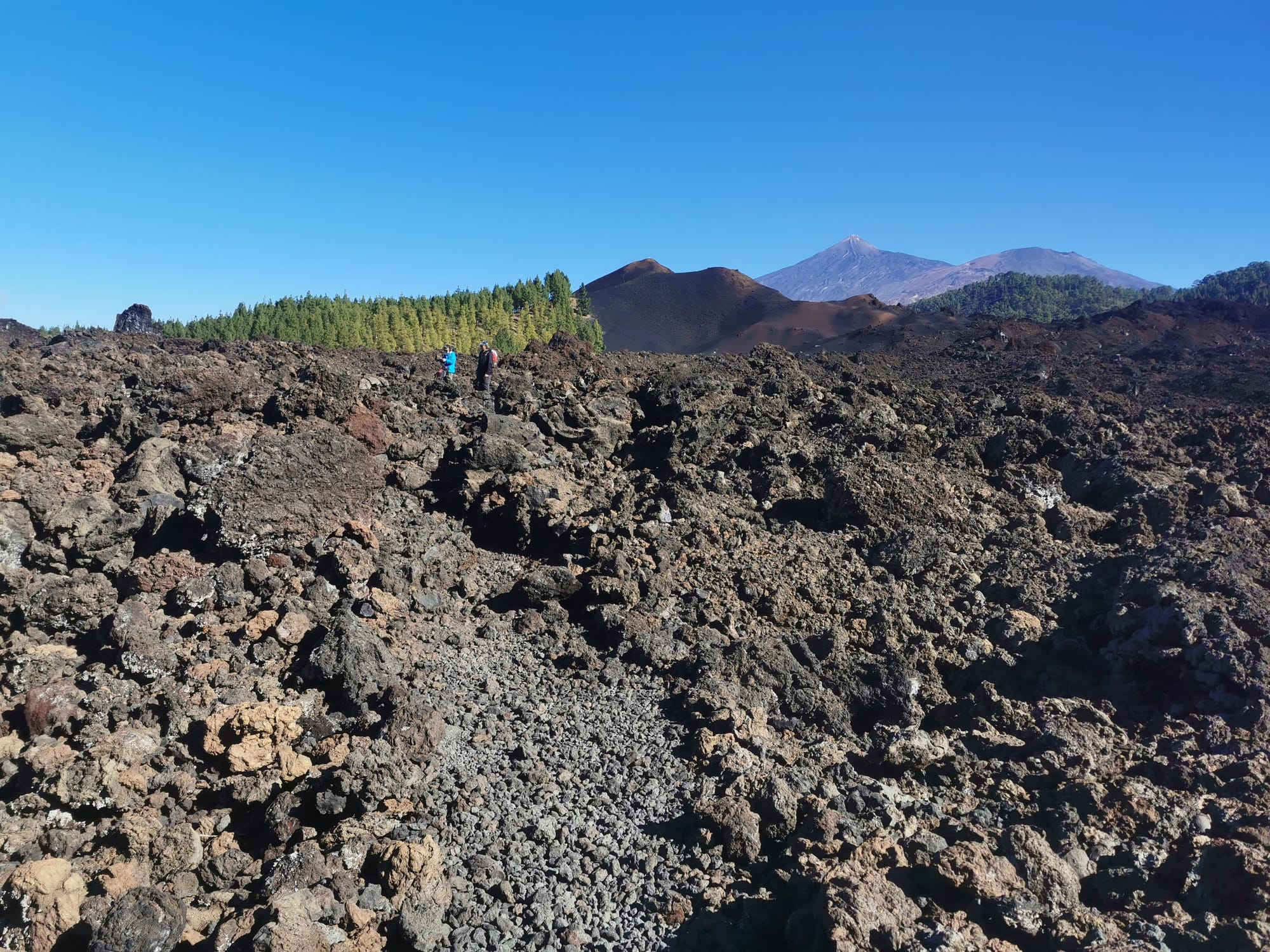 Teneriffa: Ein Leitfaden für die 11 schönsten Wanderungen