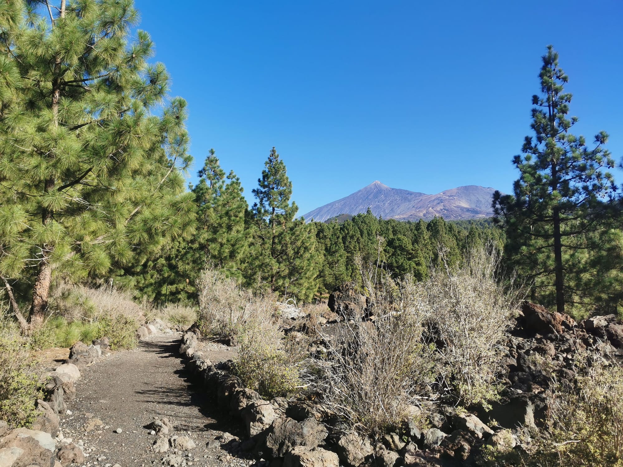 Teneriffa: Ein Leitfaden für die 11 schönsten Wanderungen