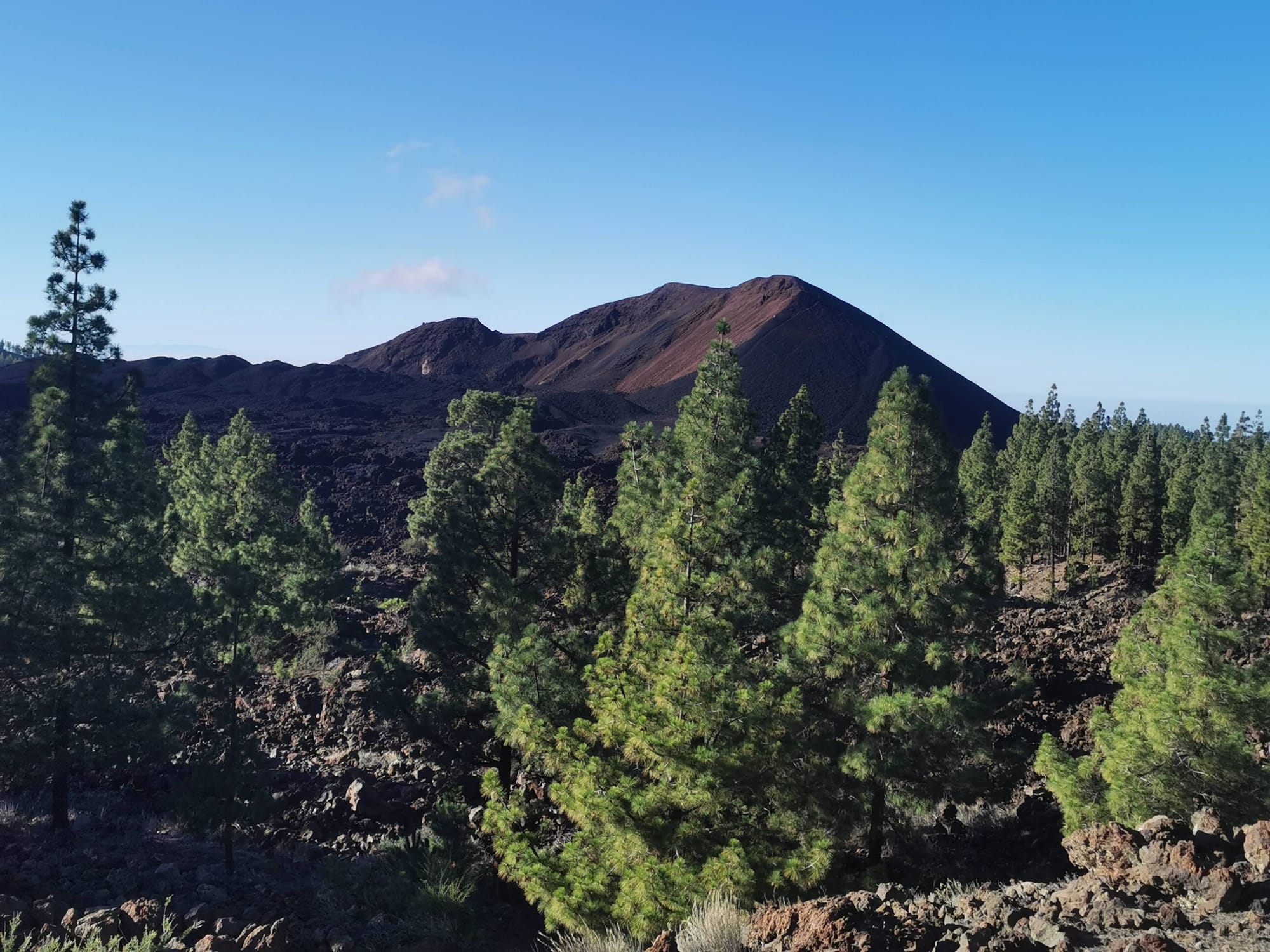 Teneriffa: Ein Leitfaden für die 11 schönsten Wanderungen