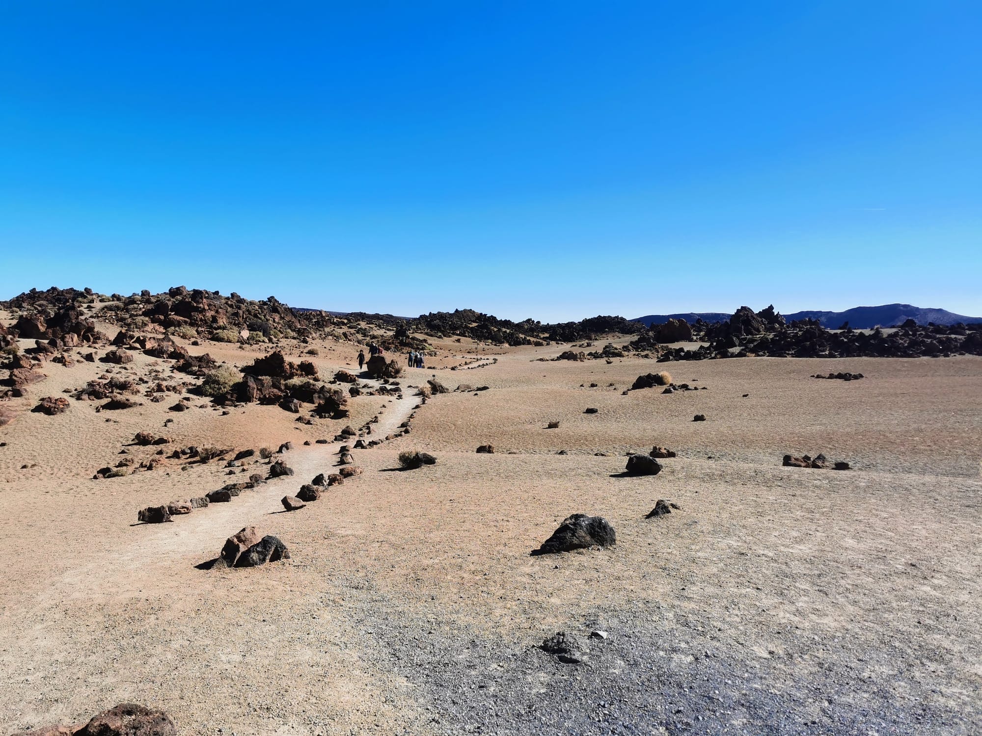 Teneriffa: Ein Leitfaden für die 11 schönsten Wanderungen