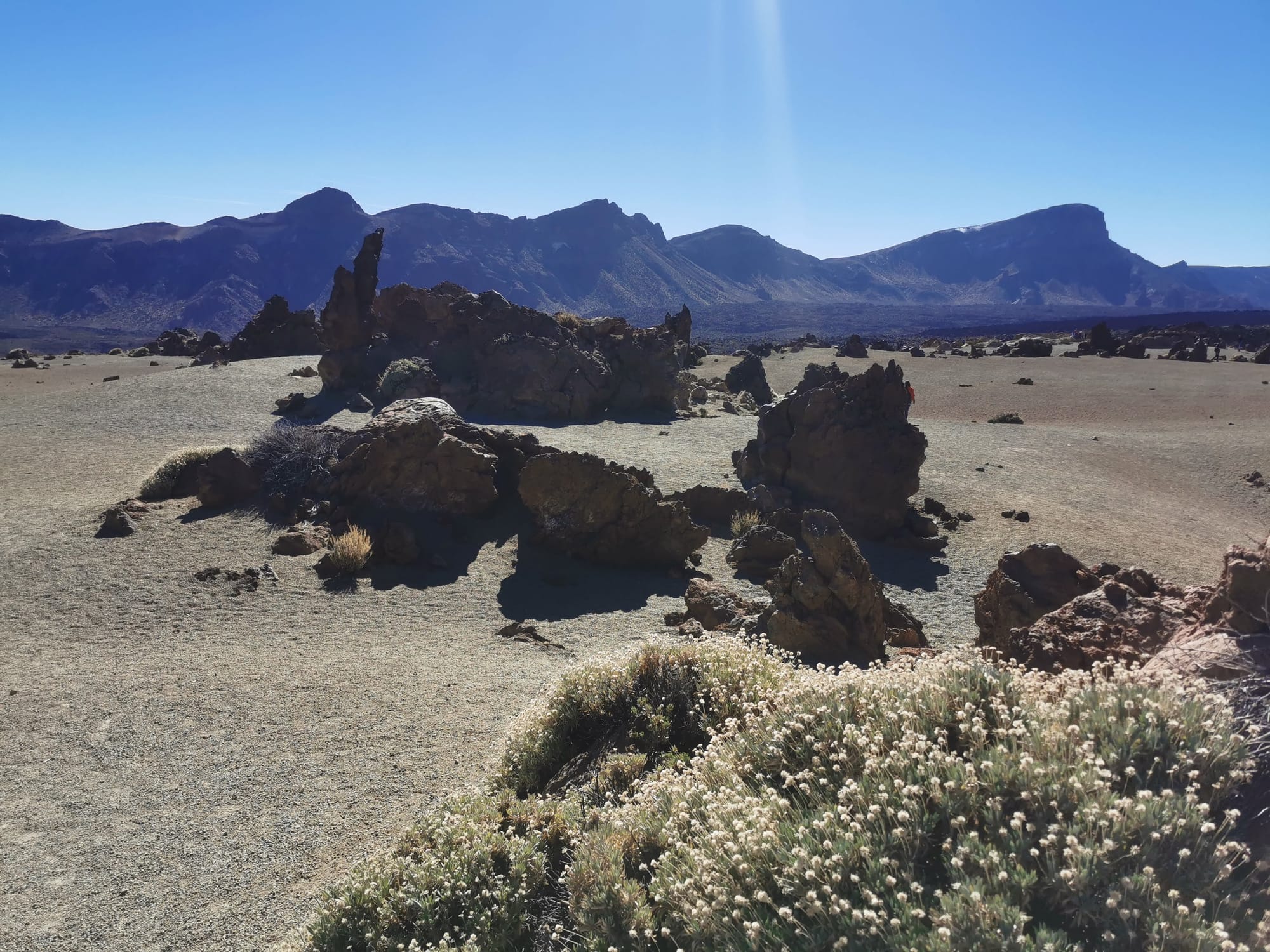 Teneriffa: Ein Leitfaden für die 11 schönsten Wanderungen