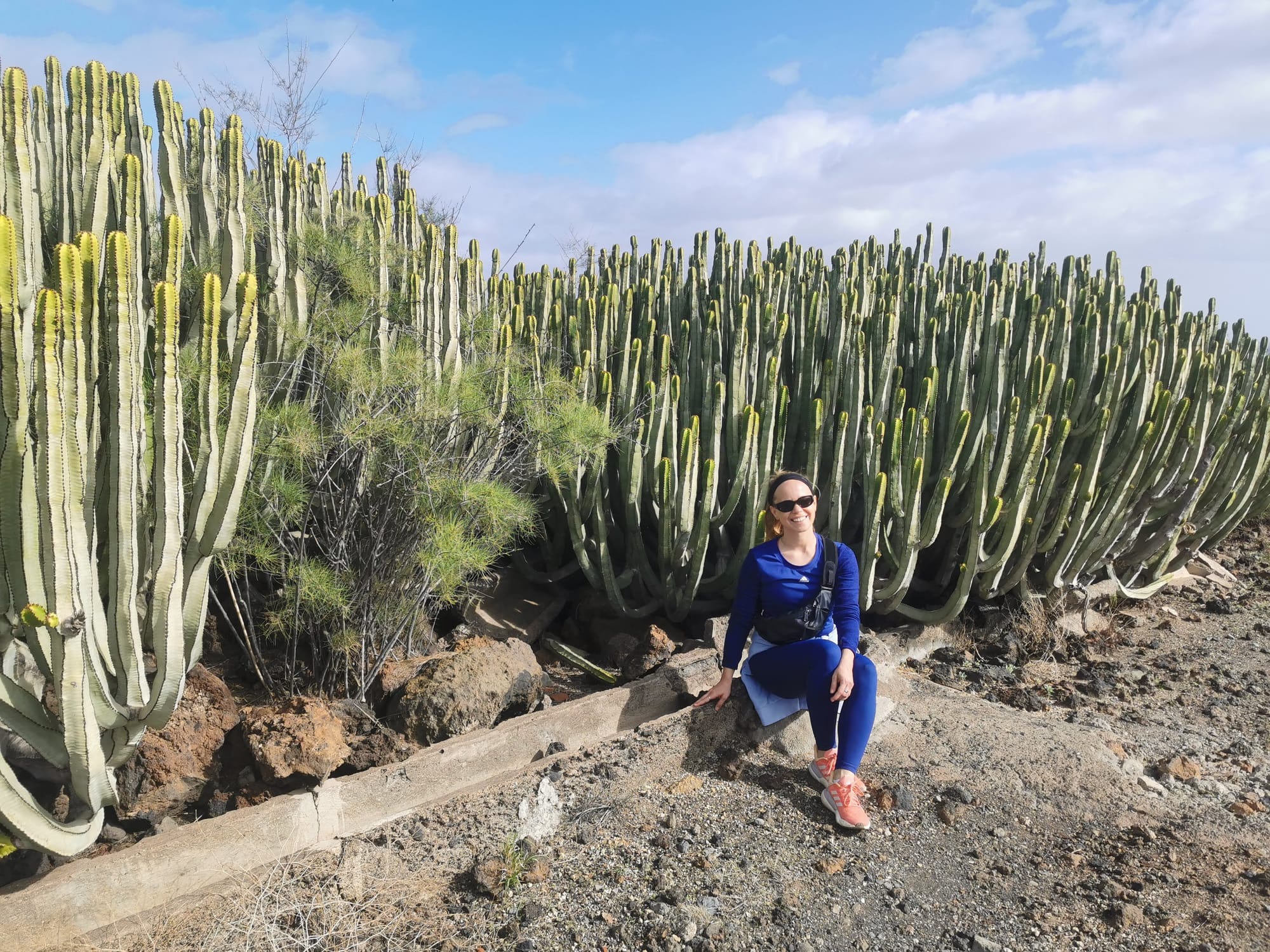 Teneriffa: Ein Leitfaden für die 11 schönsten Wanderungen